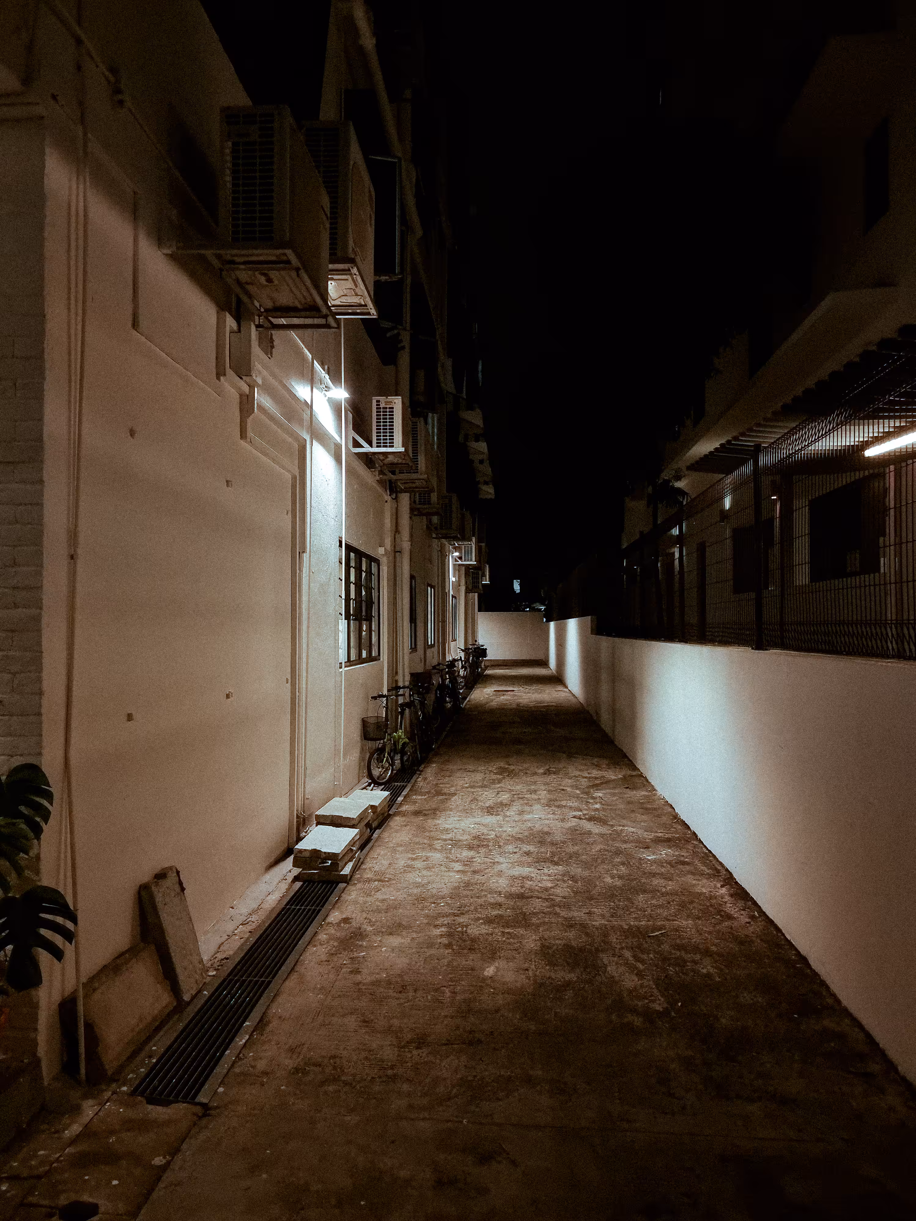 Ephemeral Perspectives: back alley