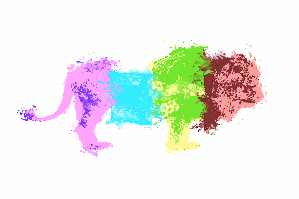 Lion Graffiti - Sahara Collection