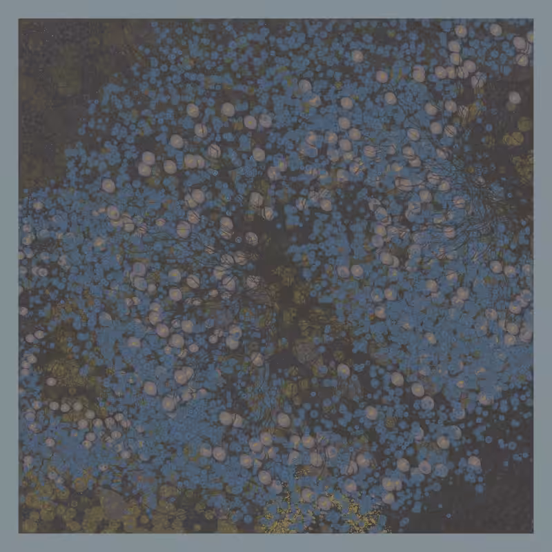 Jellyfish #43