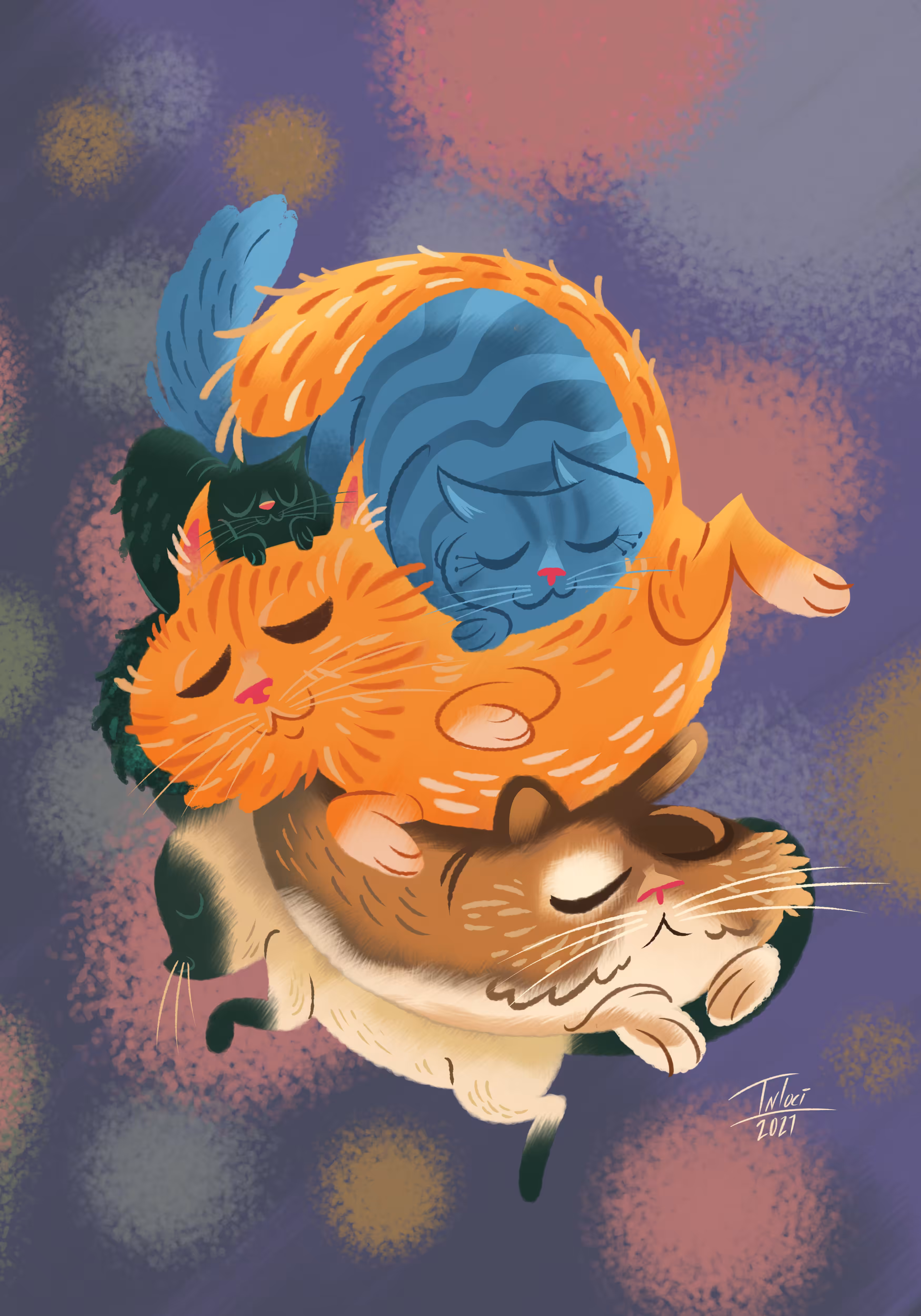 Cats