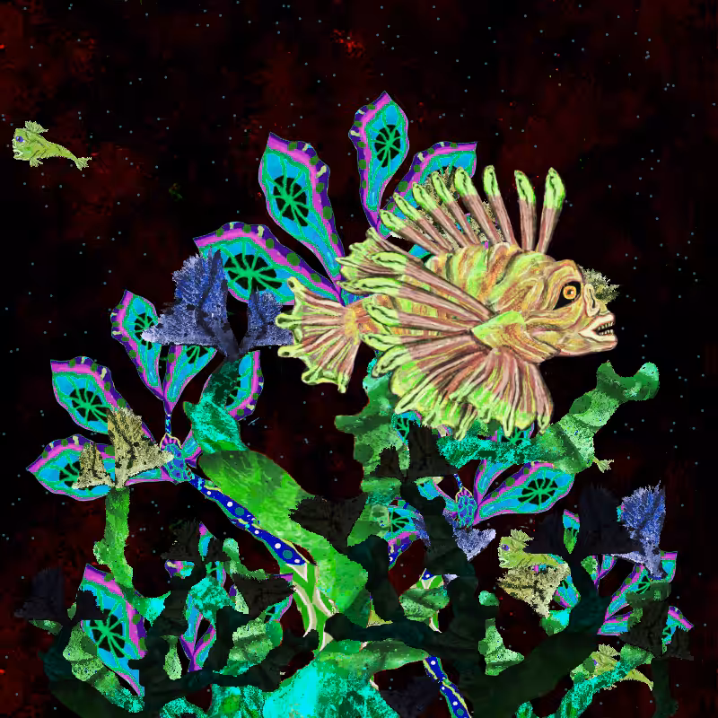 WEIRD FISHES 7, 8, 9 and 10 #2
