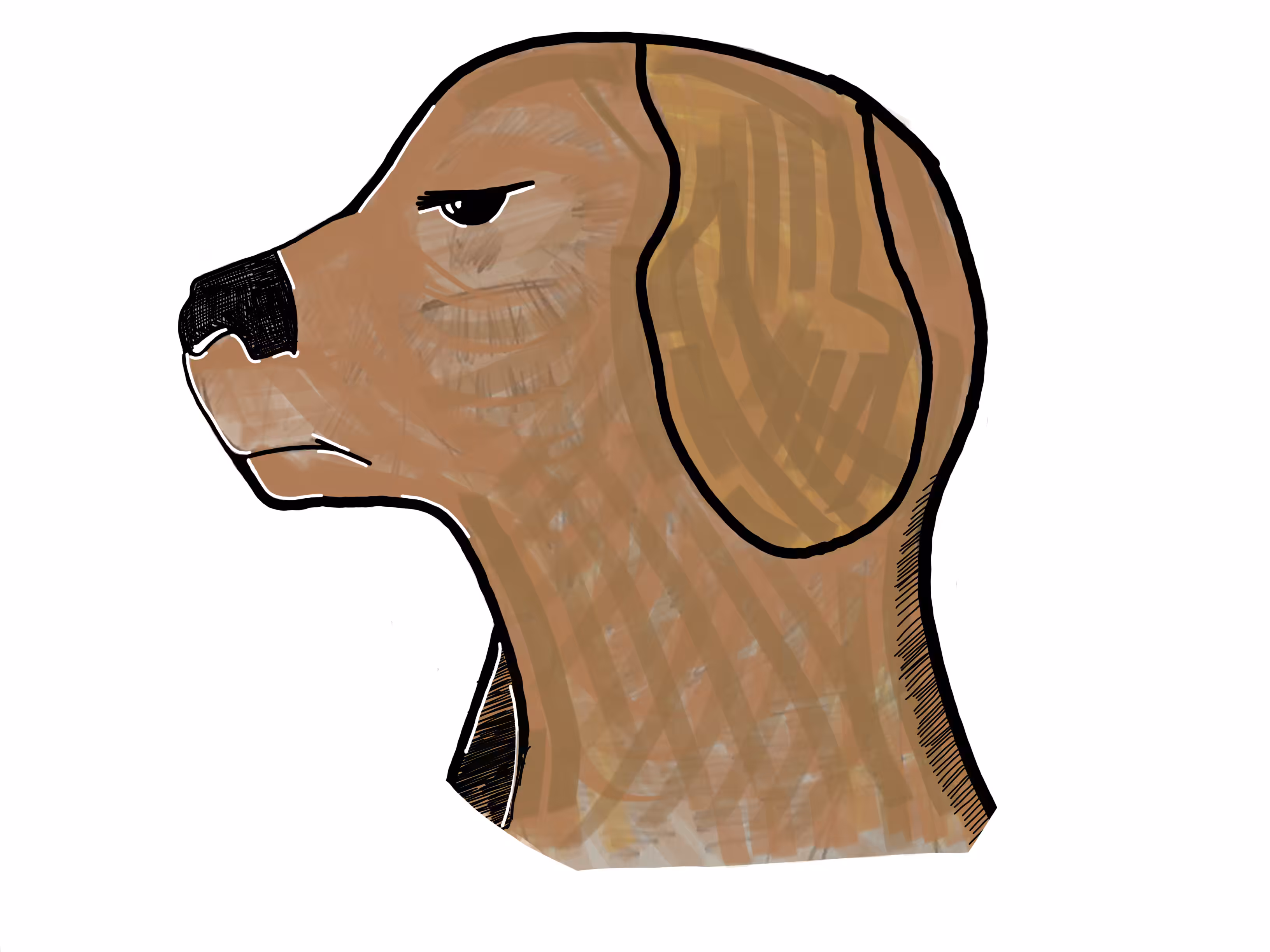 Puppy