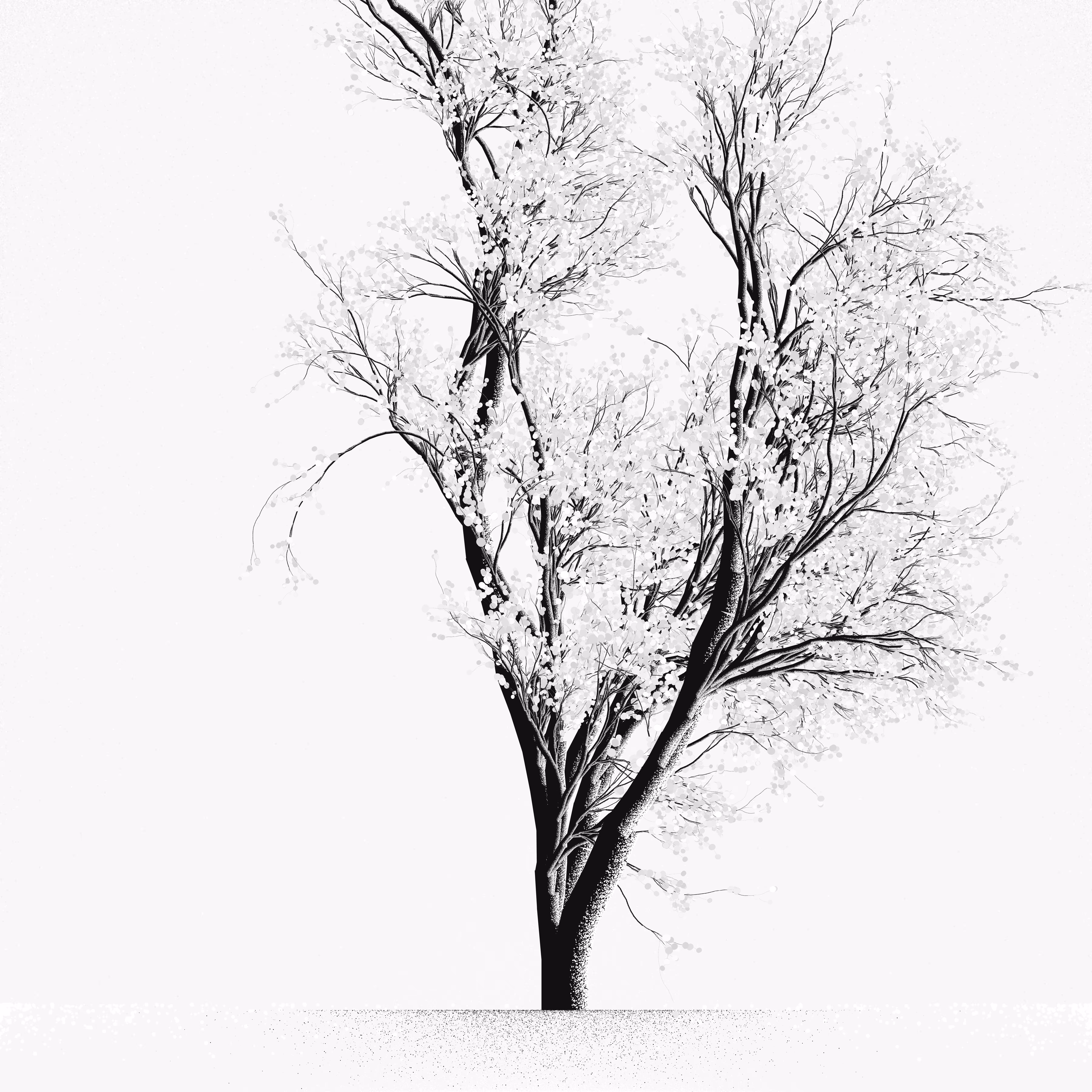 Snow Tree #3