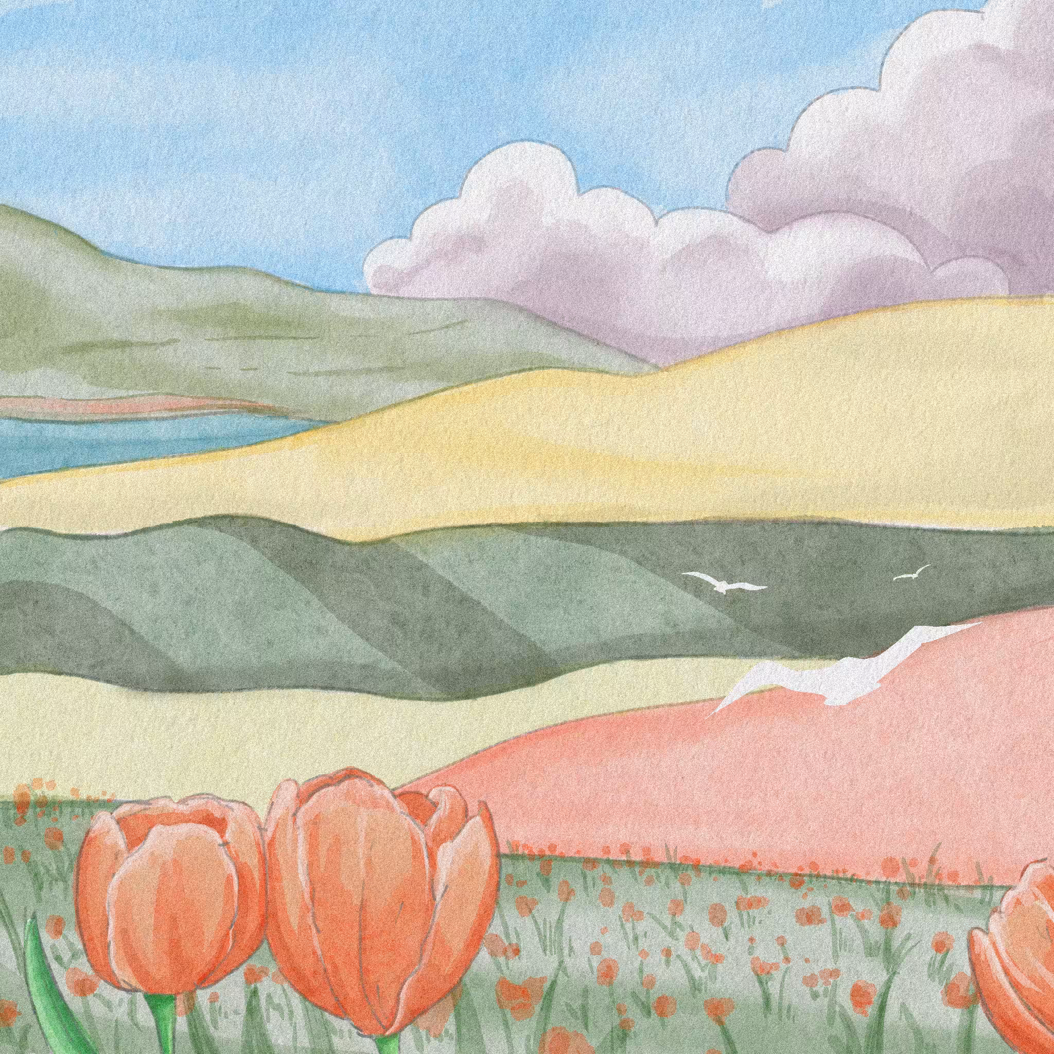 01 - tulip