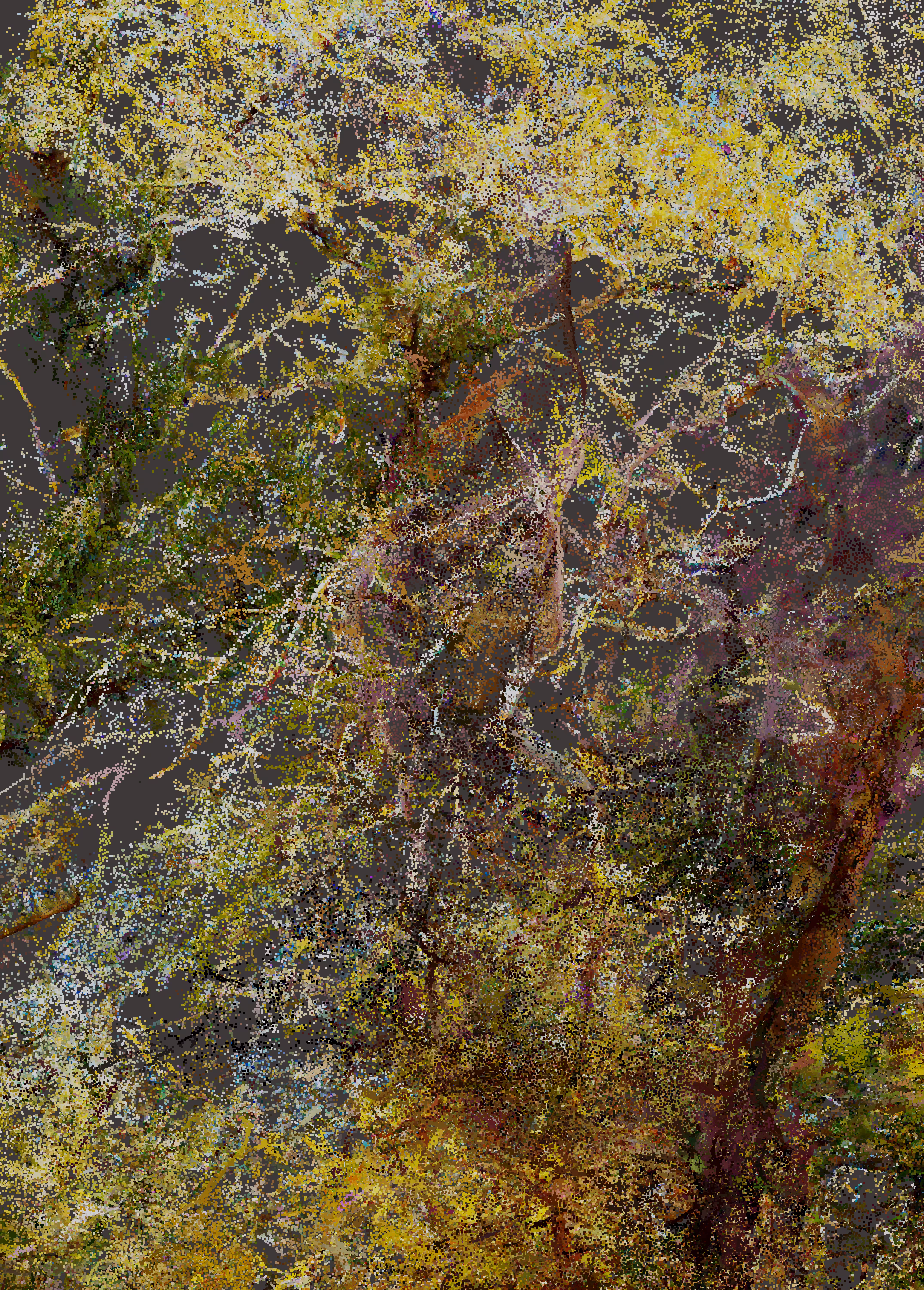 Provence I_01-3