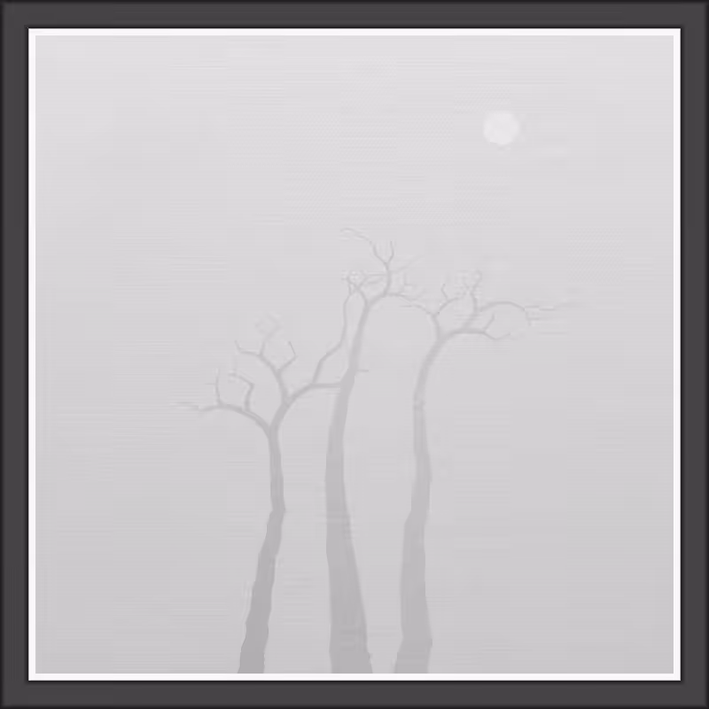 The Foggy Trees #99