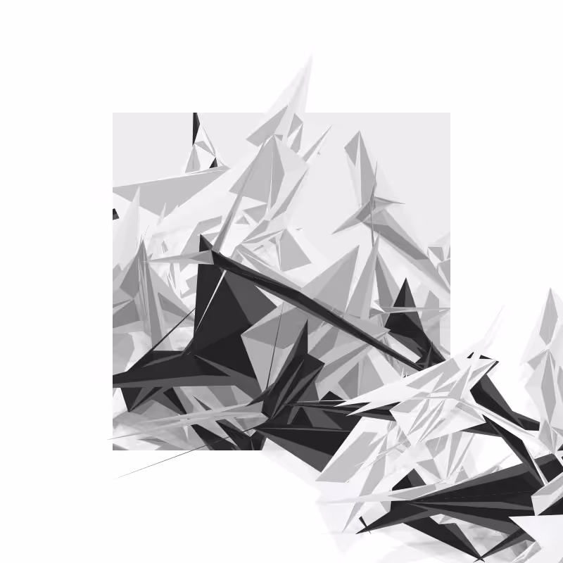 Paradise Birds Generative Series #218