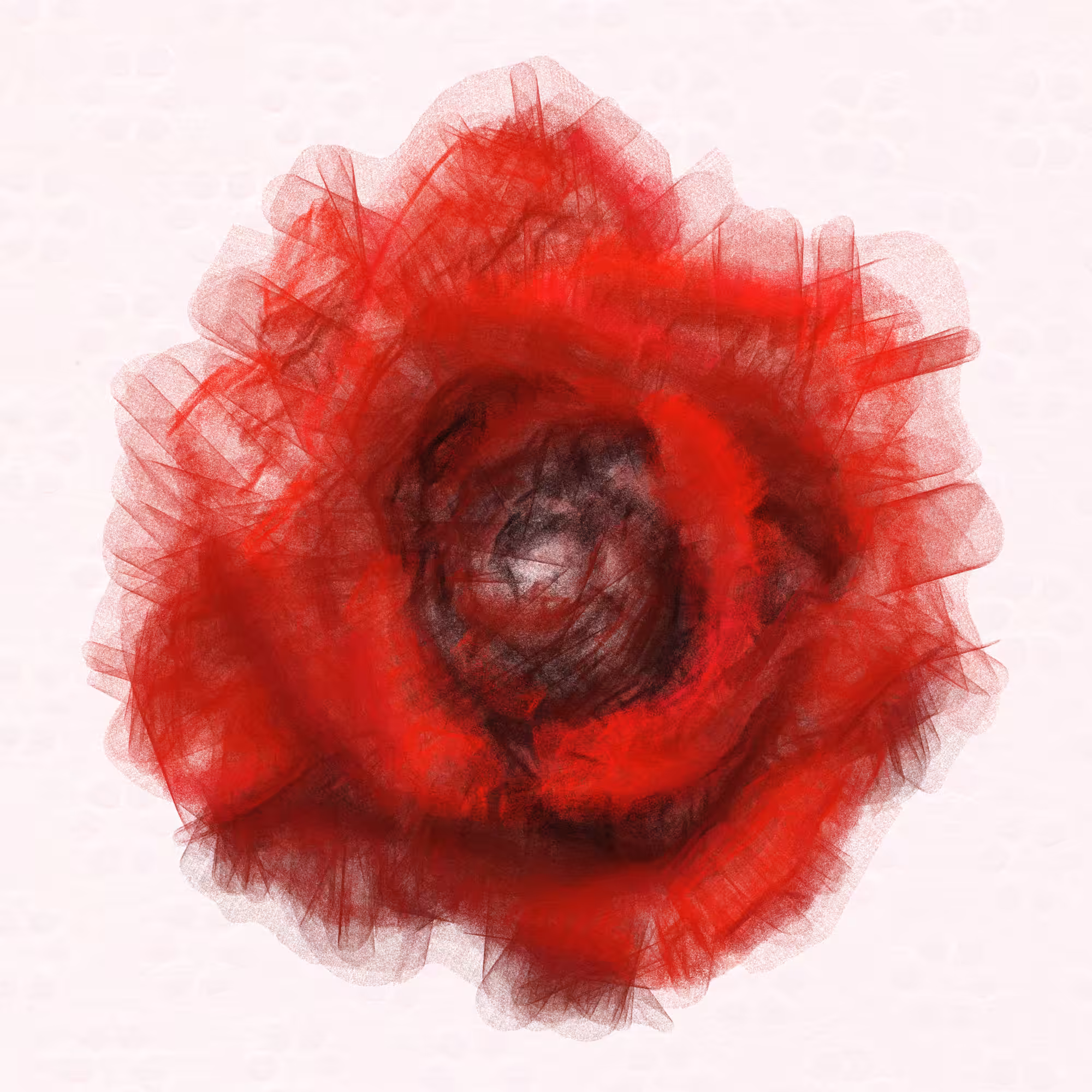 Red Rose 1