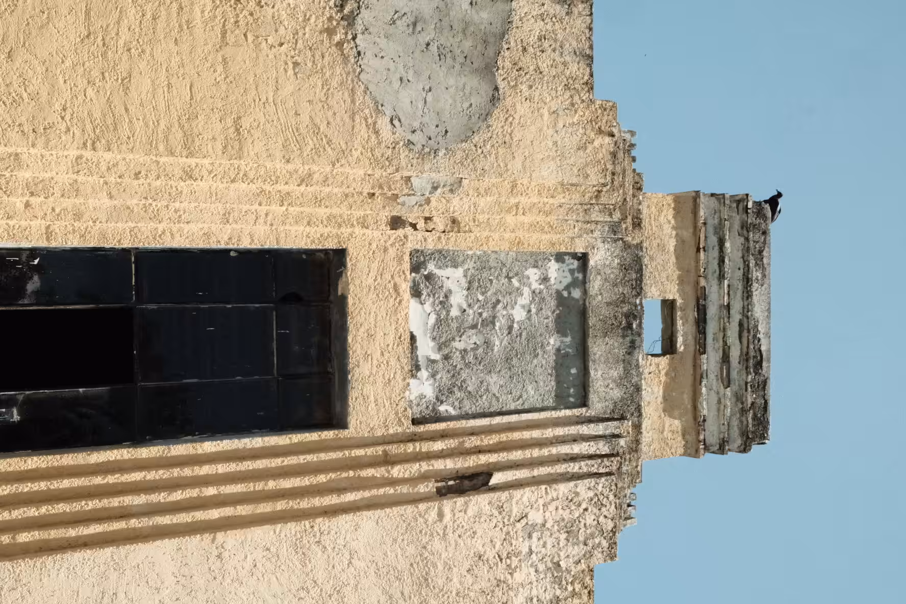 Vulture tower