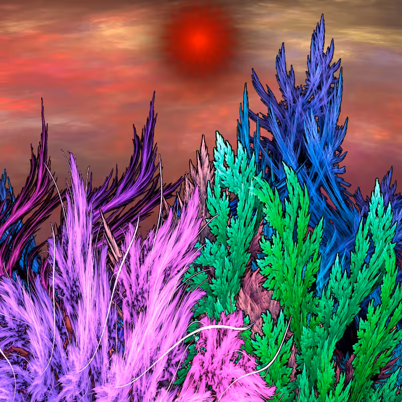 Secrets of the fractal nature #12
