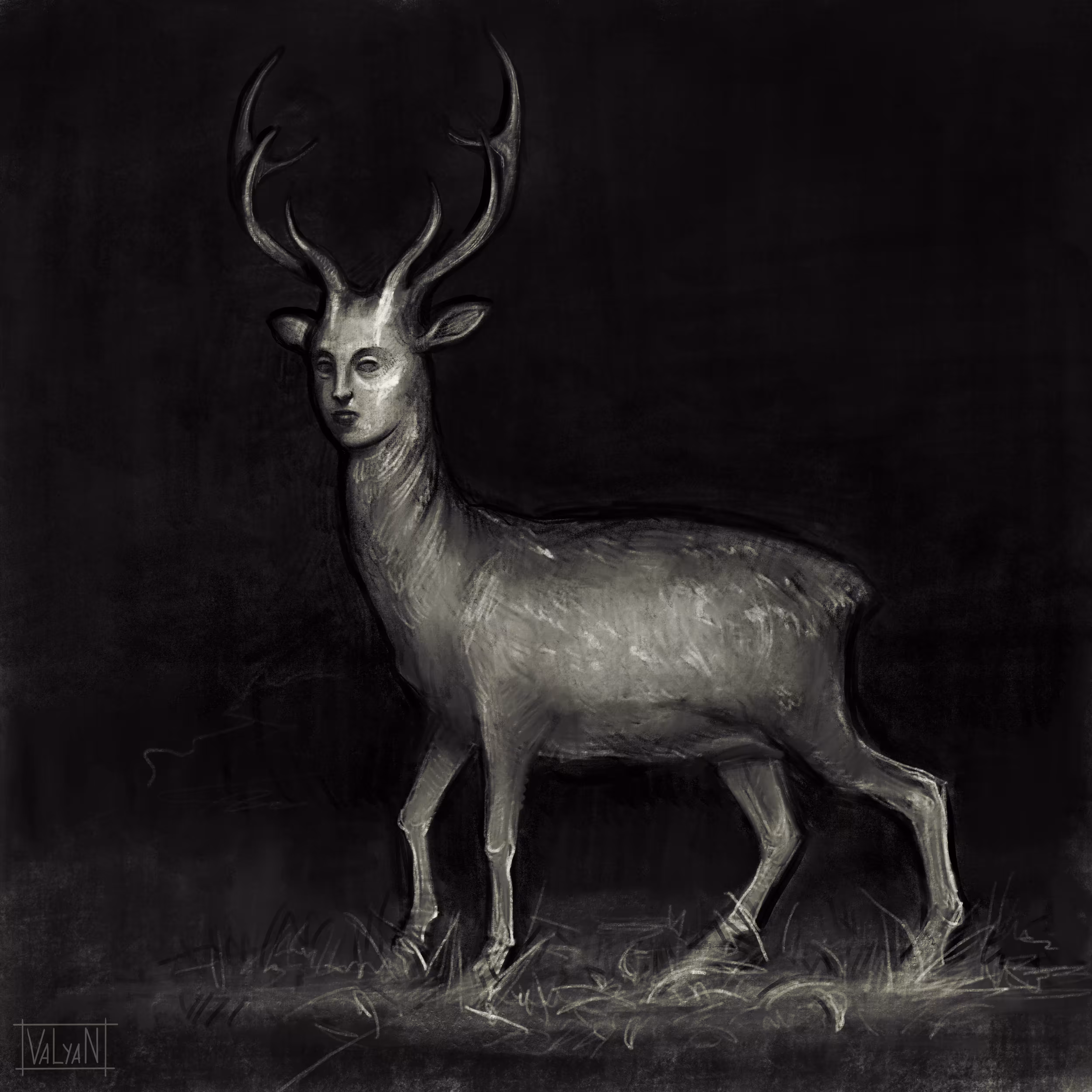 The Deer