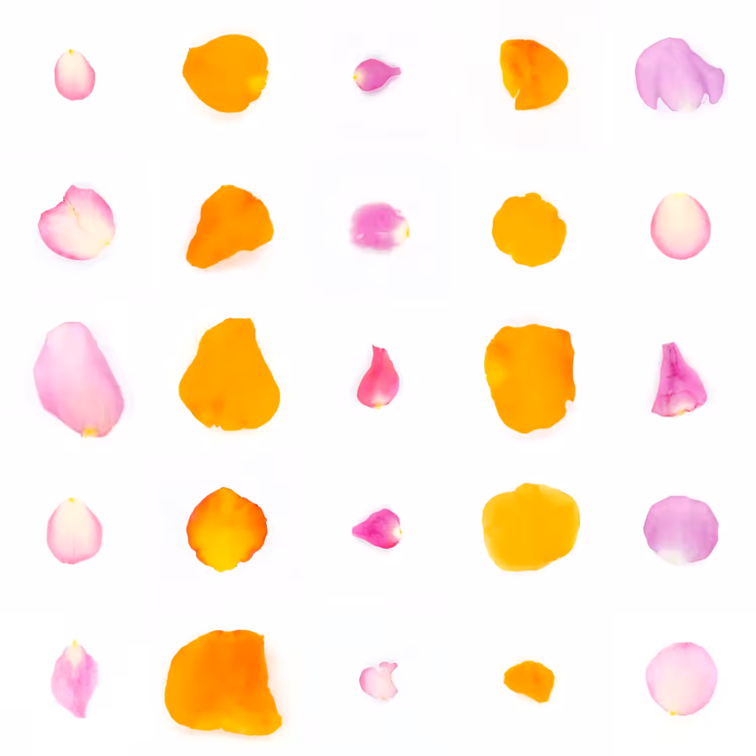 Infinite Petals 5x5#20893