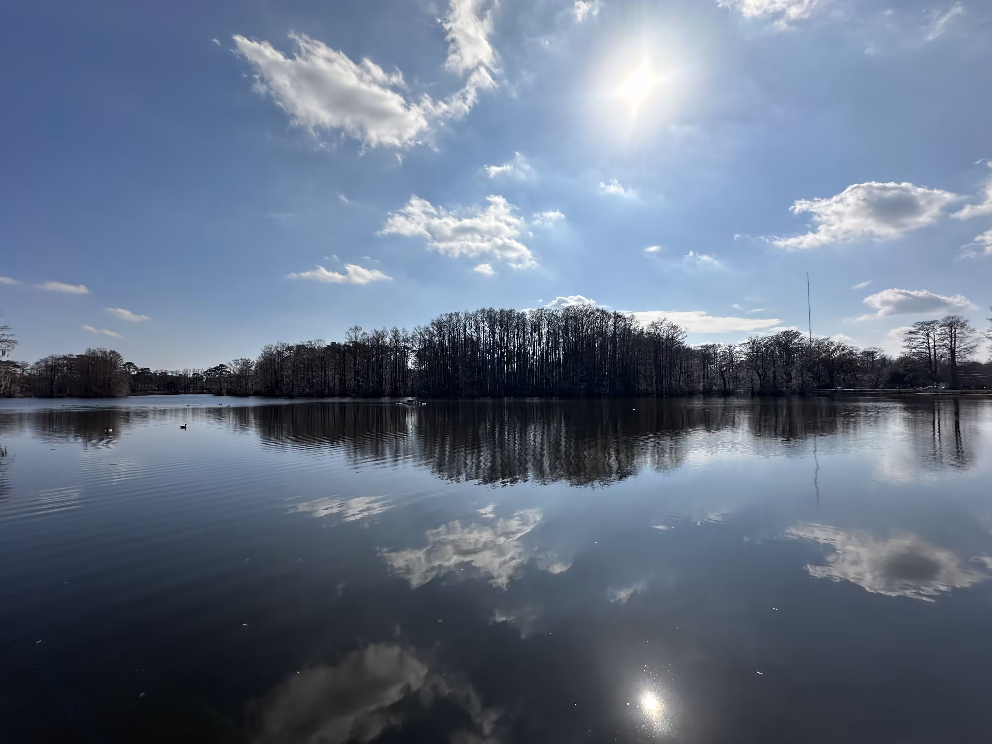 A Trip To The Lake