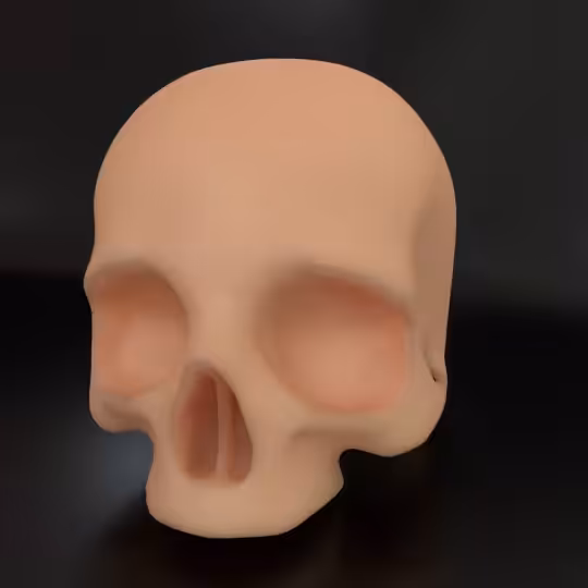 SkullZ #79