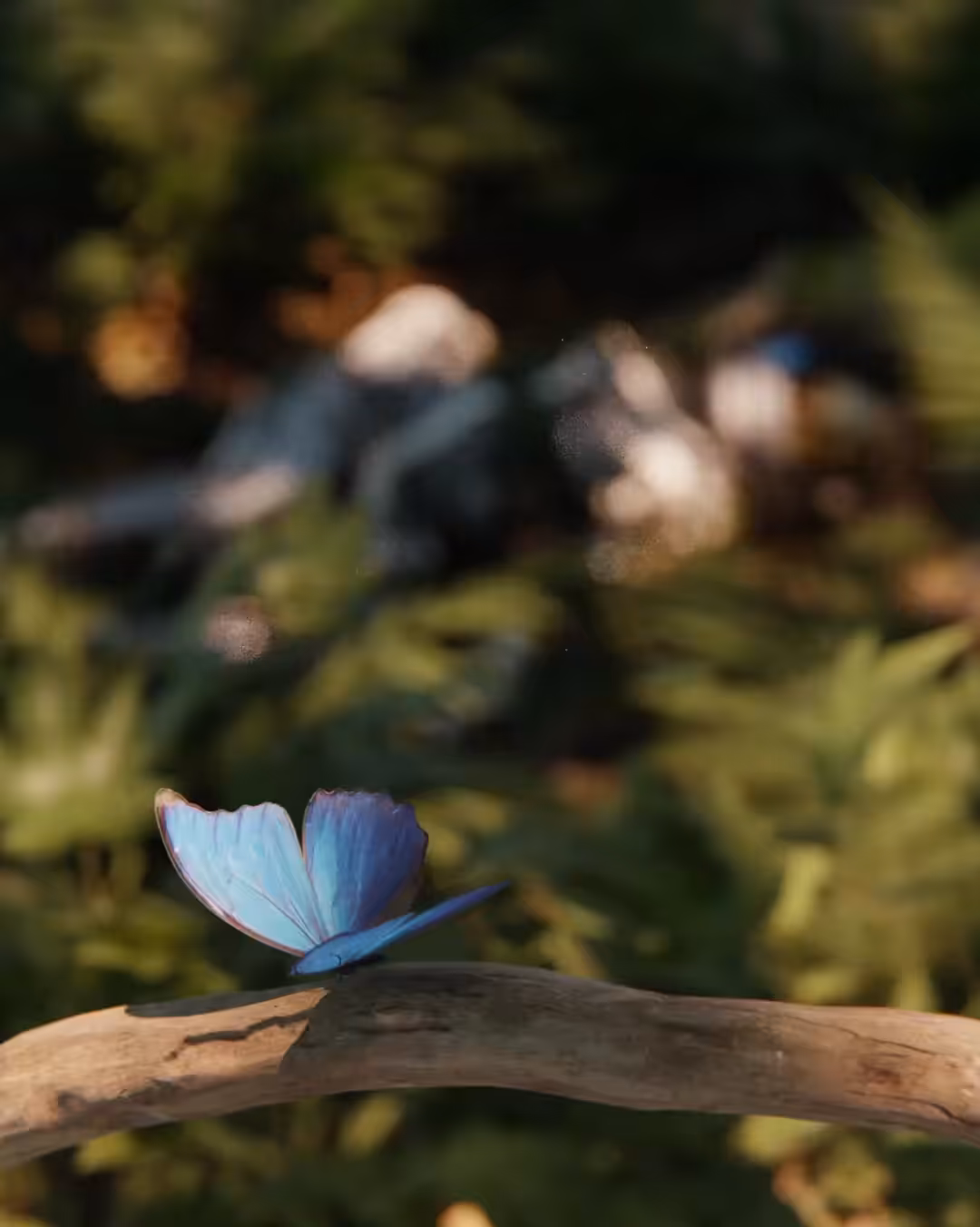 Eternity