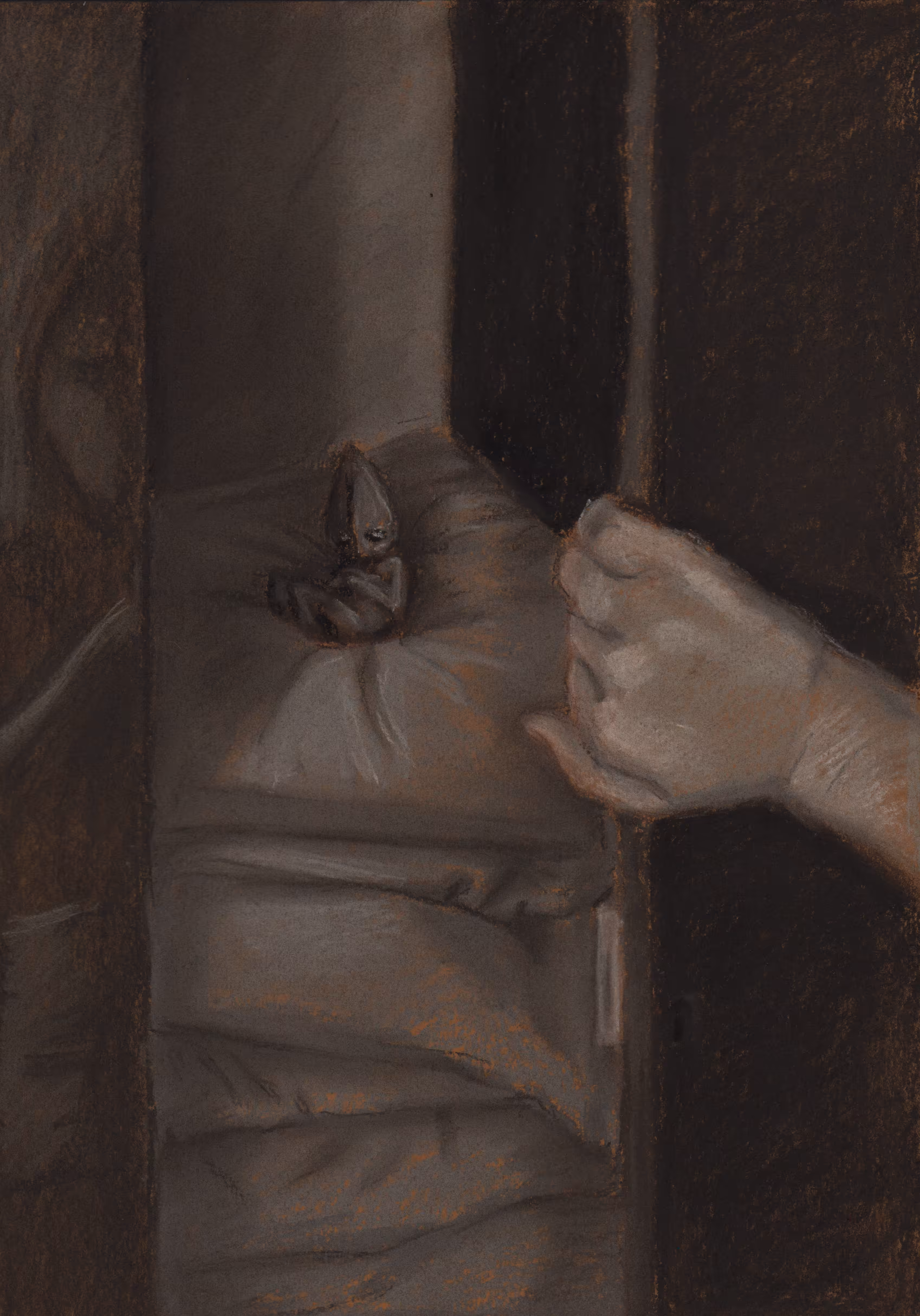 The alien in the closet