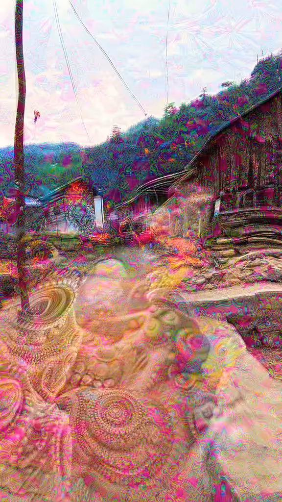 Pulga: The Psychedelic Portal