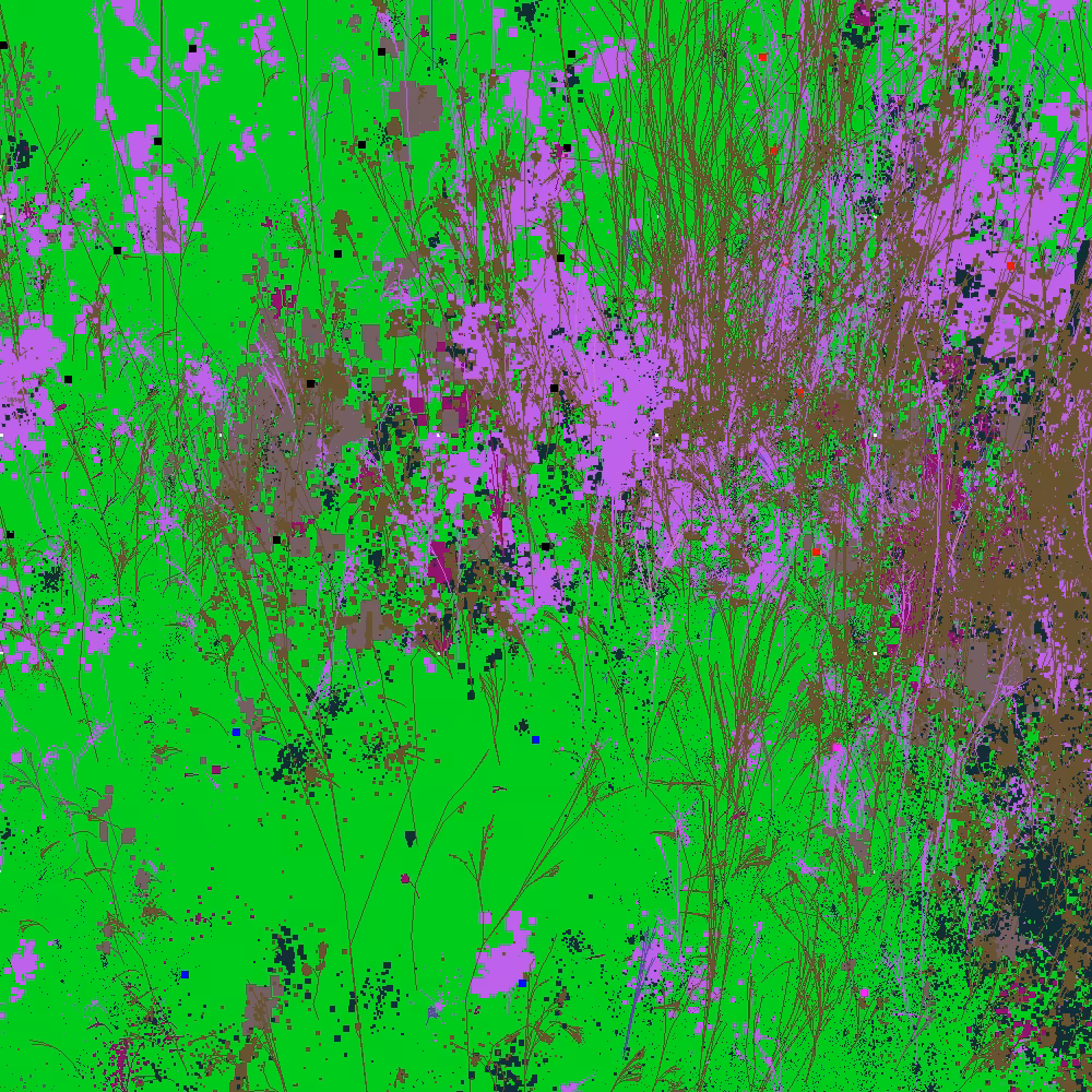 Infinite Garden: 9233 Flowers