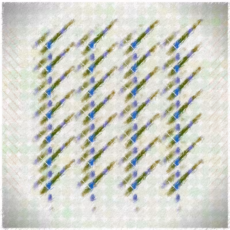 Maculas #46