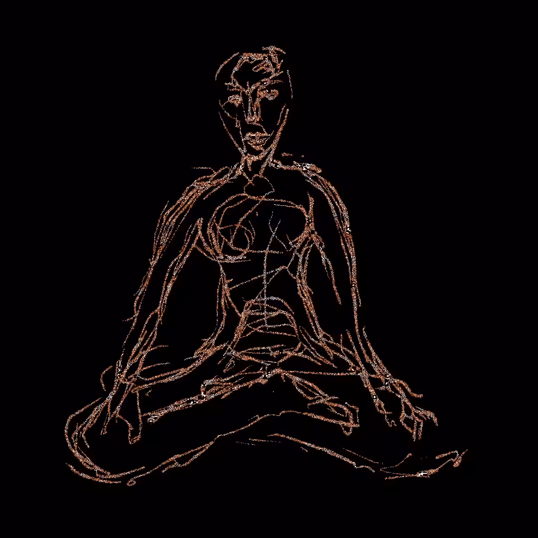 meditsketch