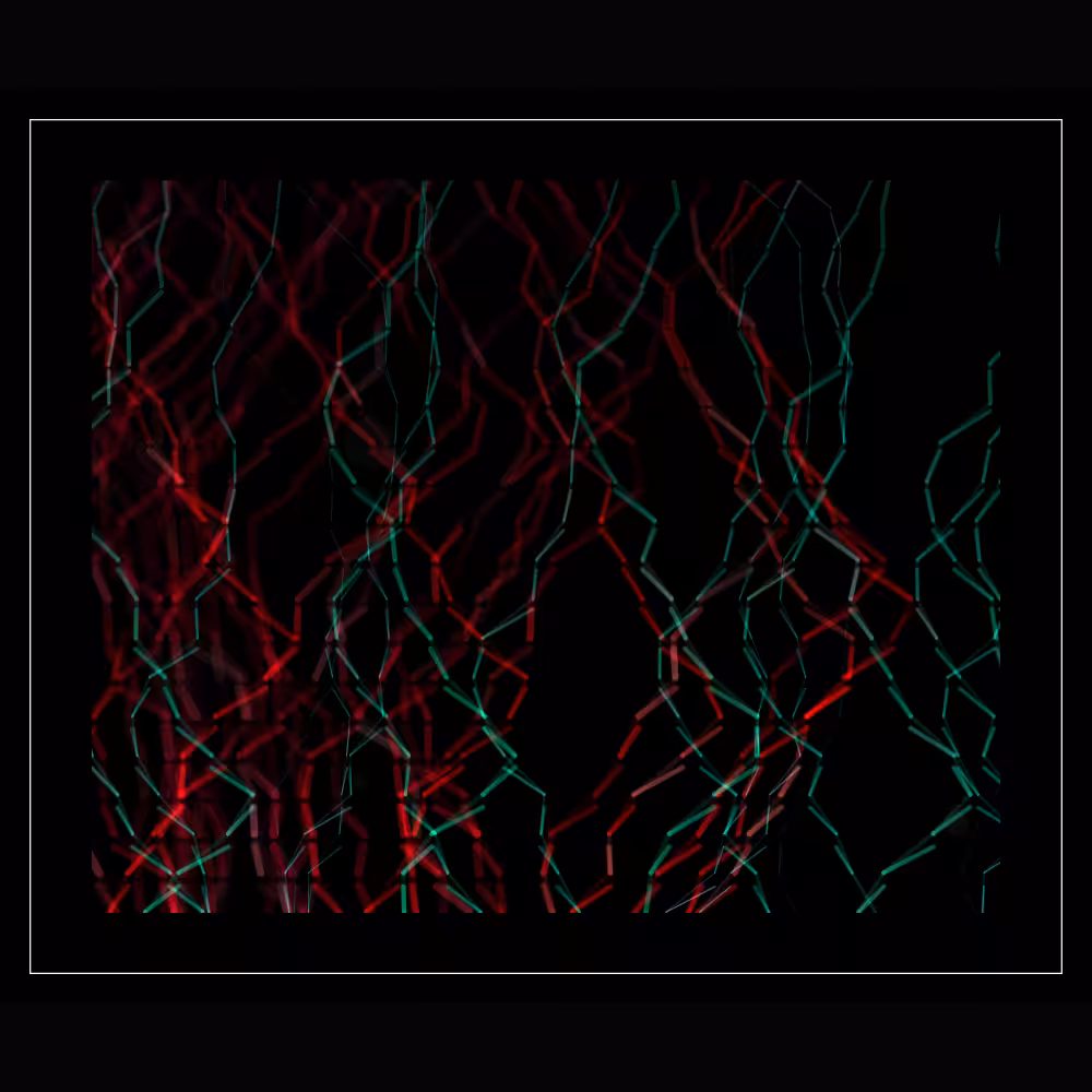 DigiRoots #18