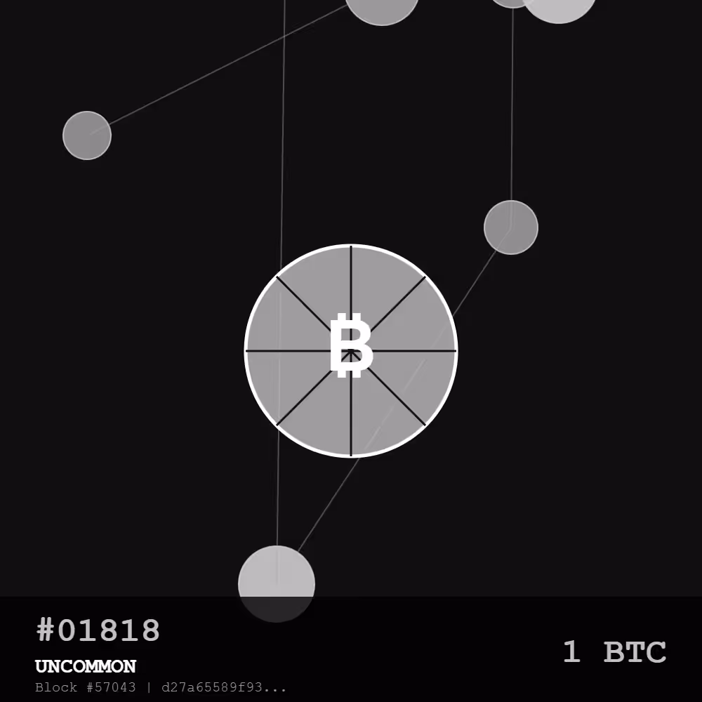 🍕Bitcoin Pizza Genesis: 10K — UNCOMMON Edition | The First Real-World Bitcoin Transaction