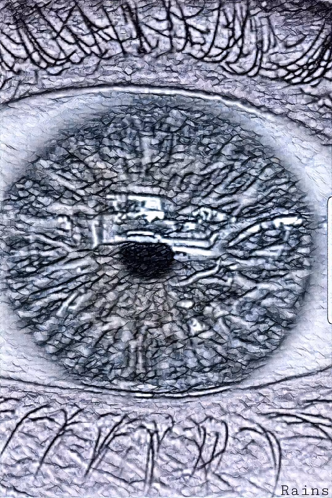 Minds Eye
