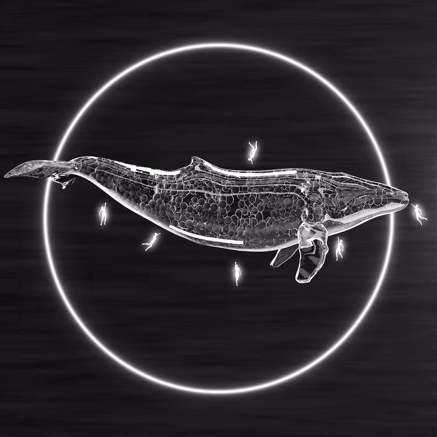 whale Touch!