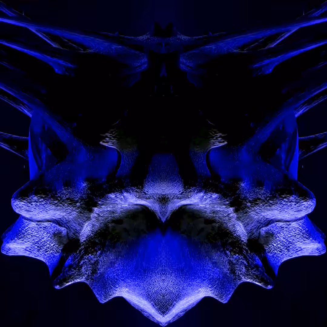 BIRU (03)