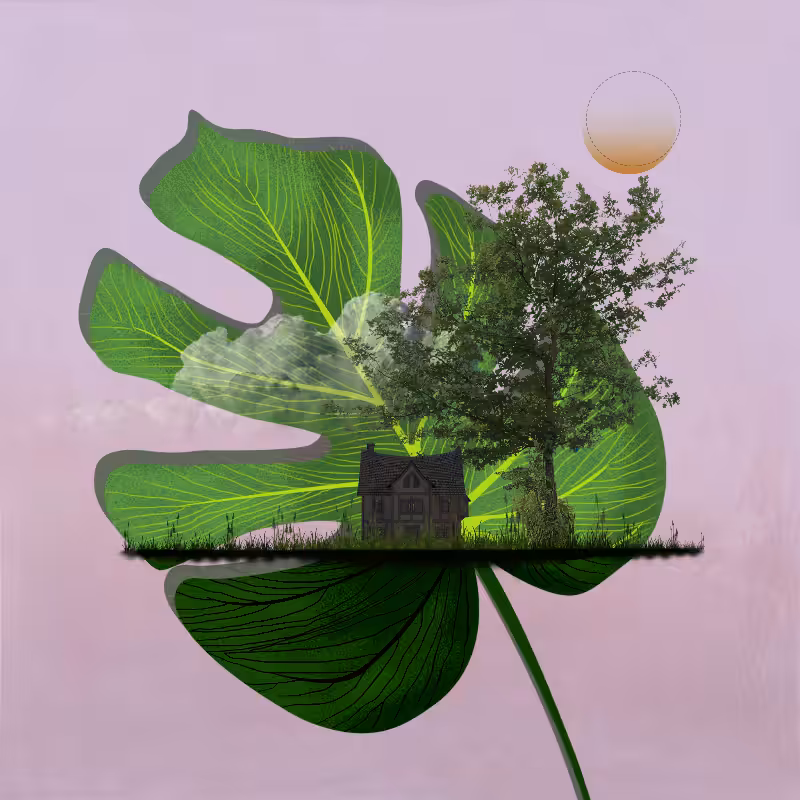 Live in Nature #32