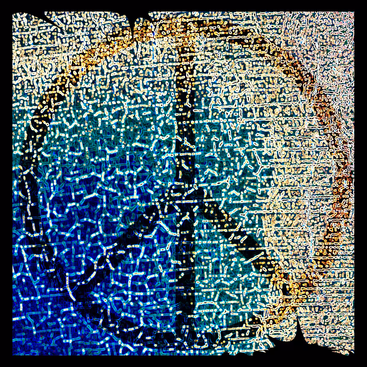 Cell 12