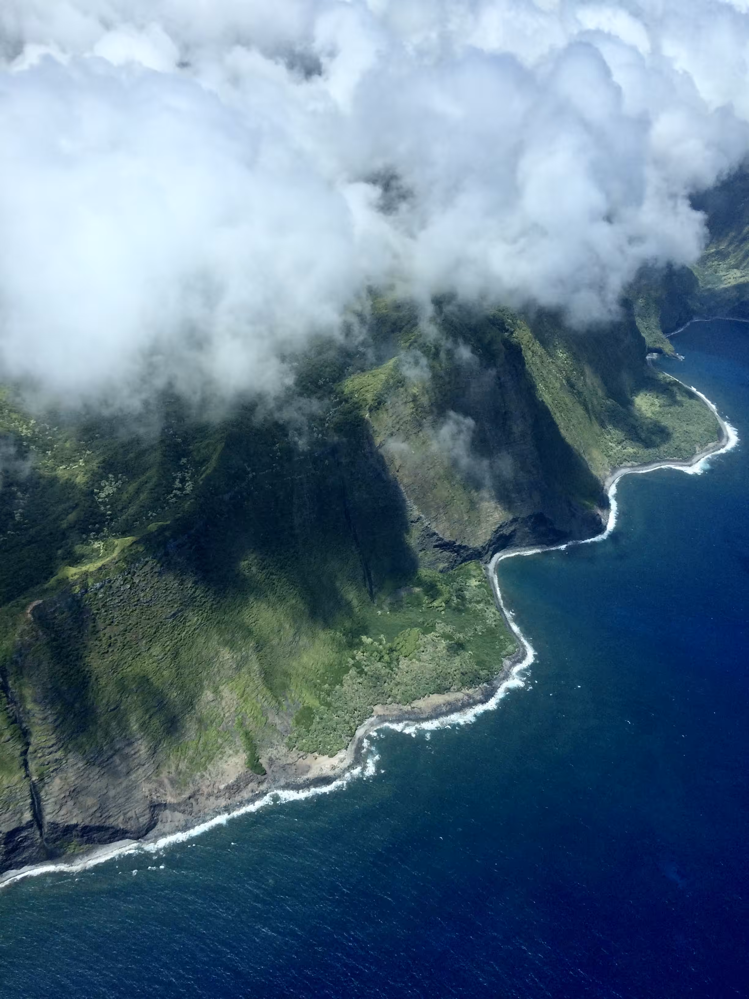 🦕🏝🛩