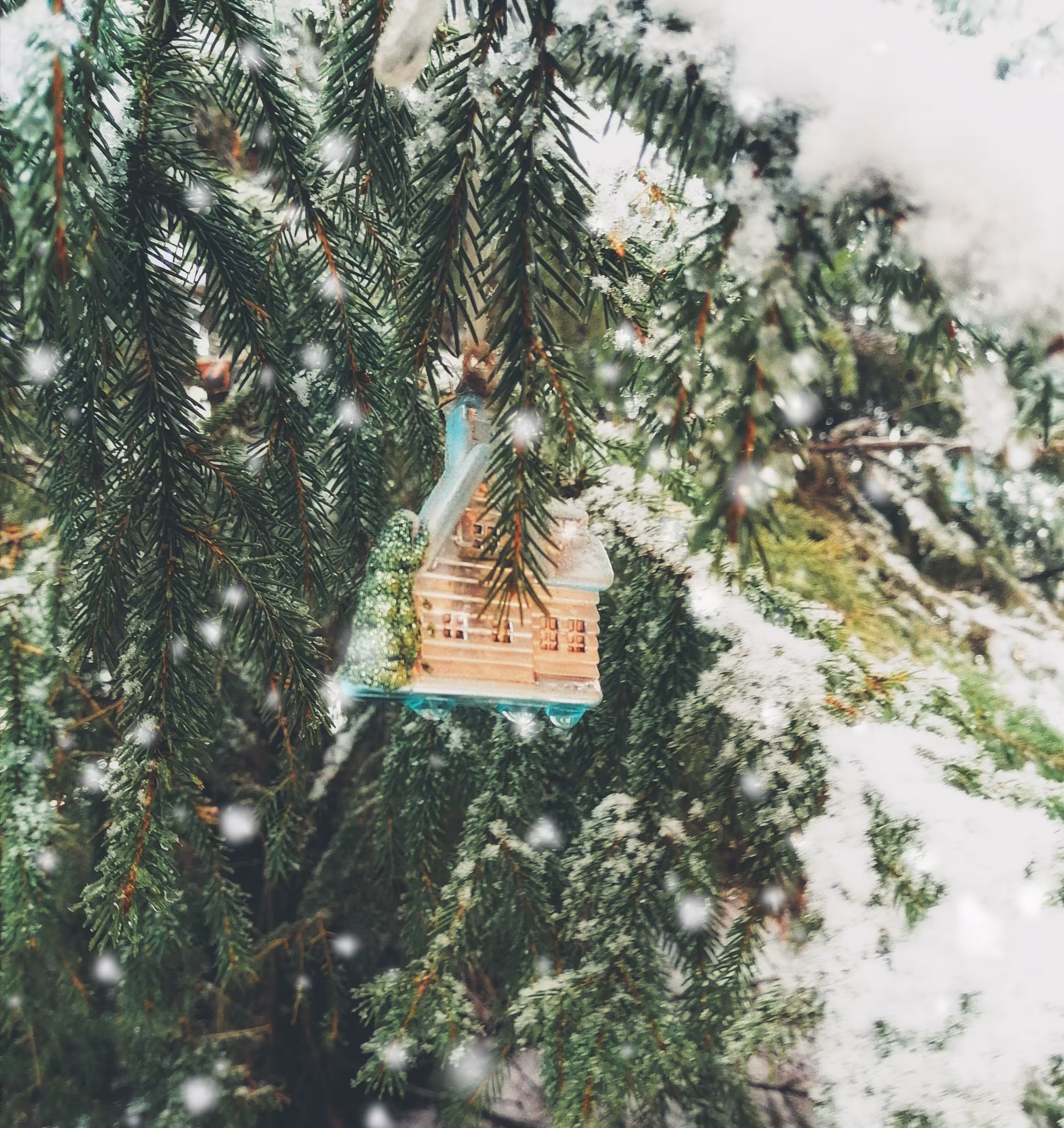 Winter Miracle