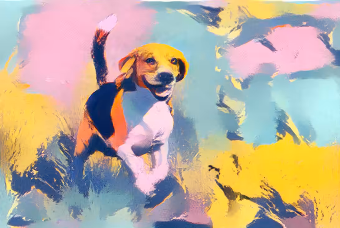 Beagle, Marilyn style