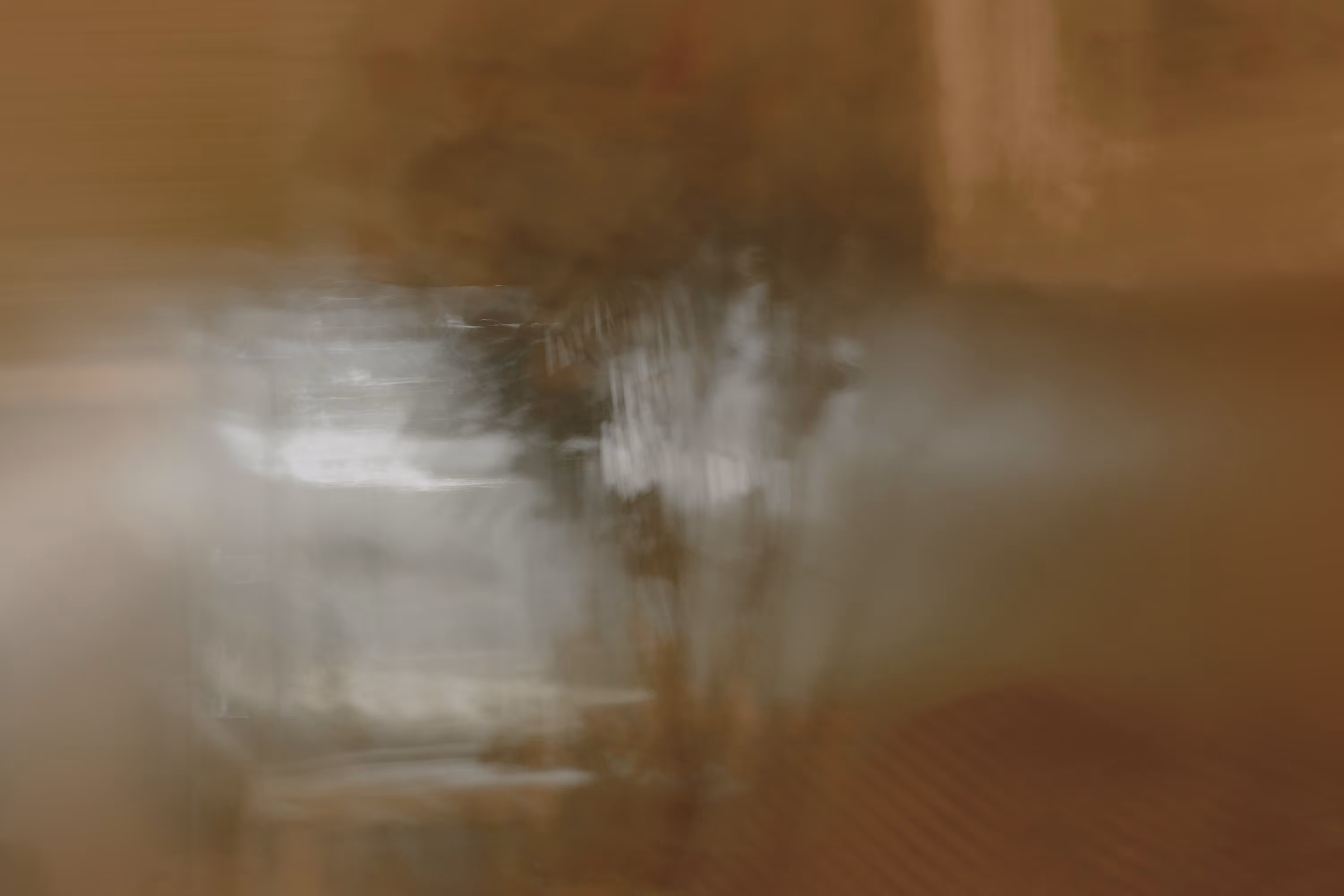 Renaissance #25