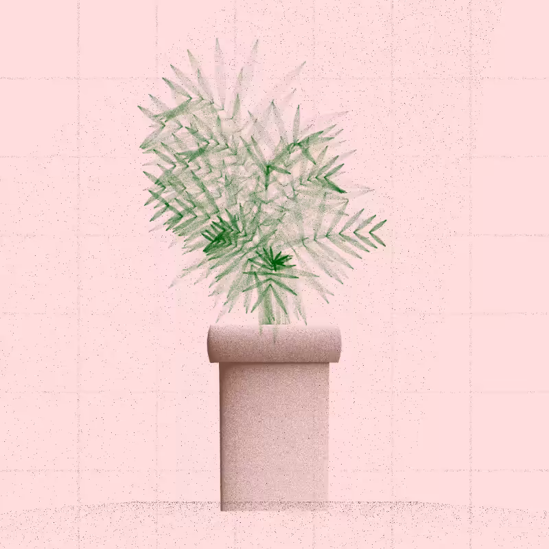 🌱 Potted & Printed #280