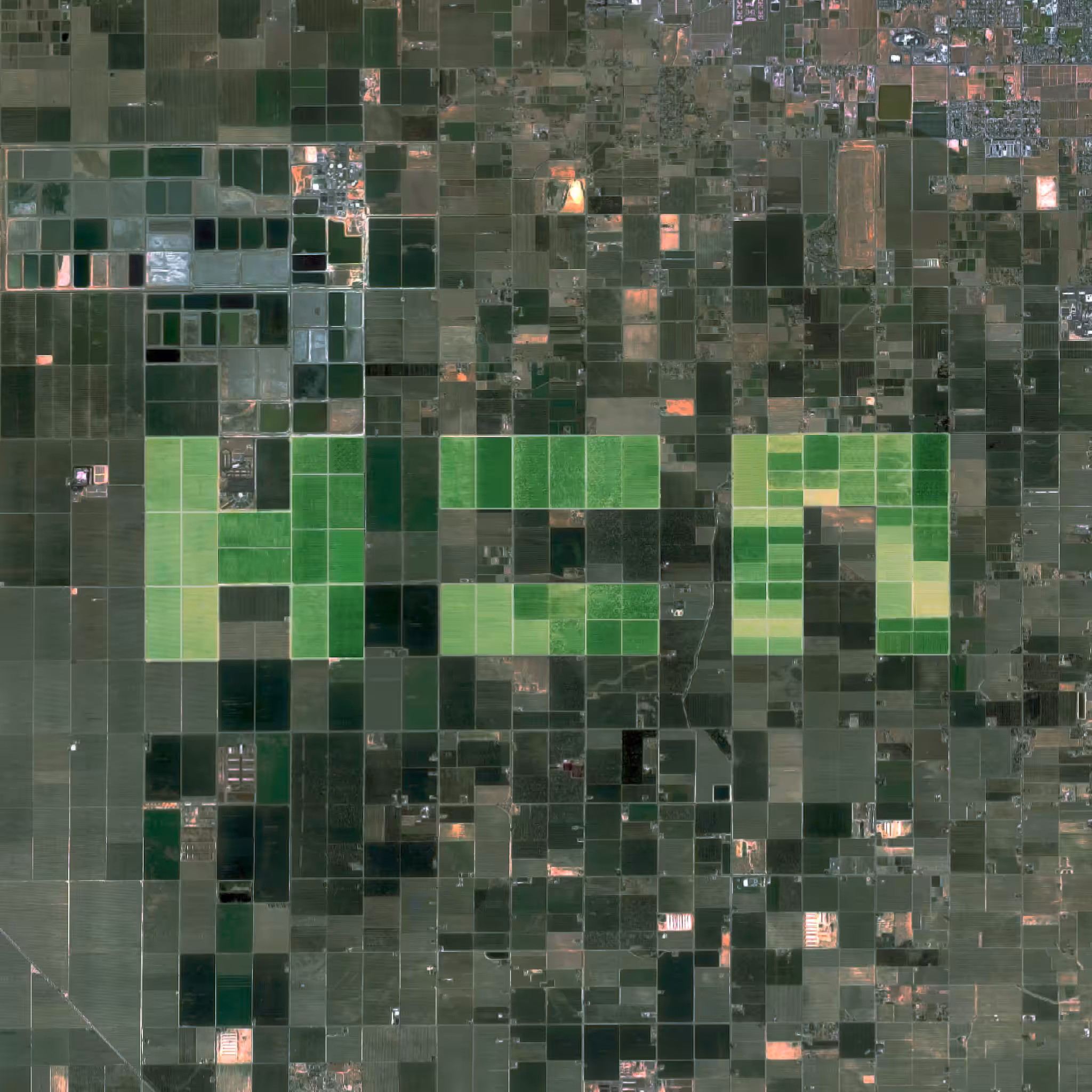 Here And Now Field
