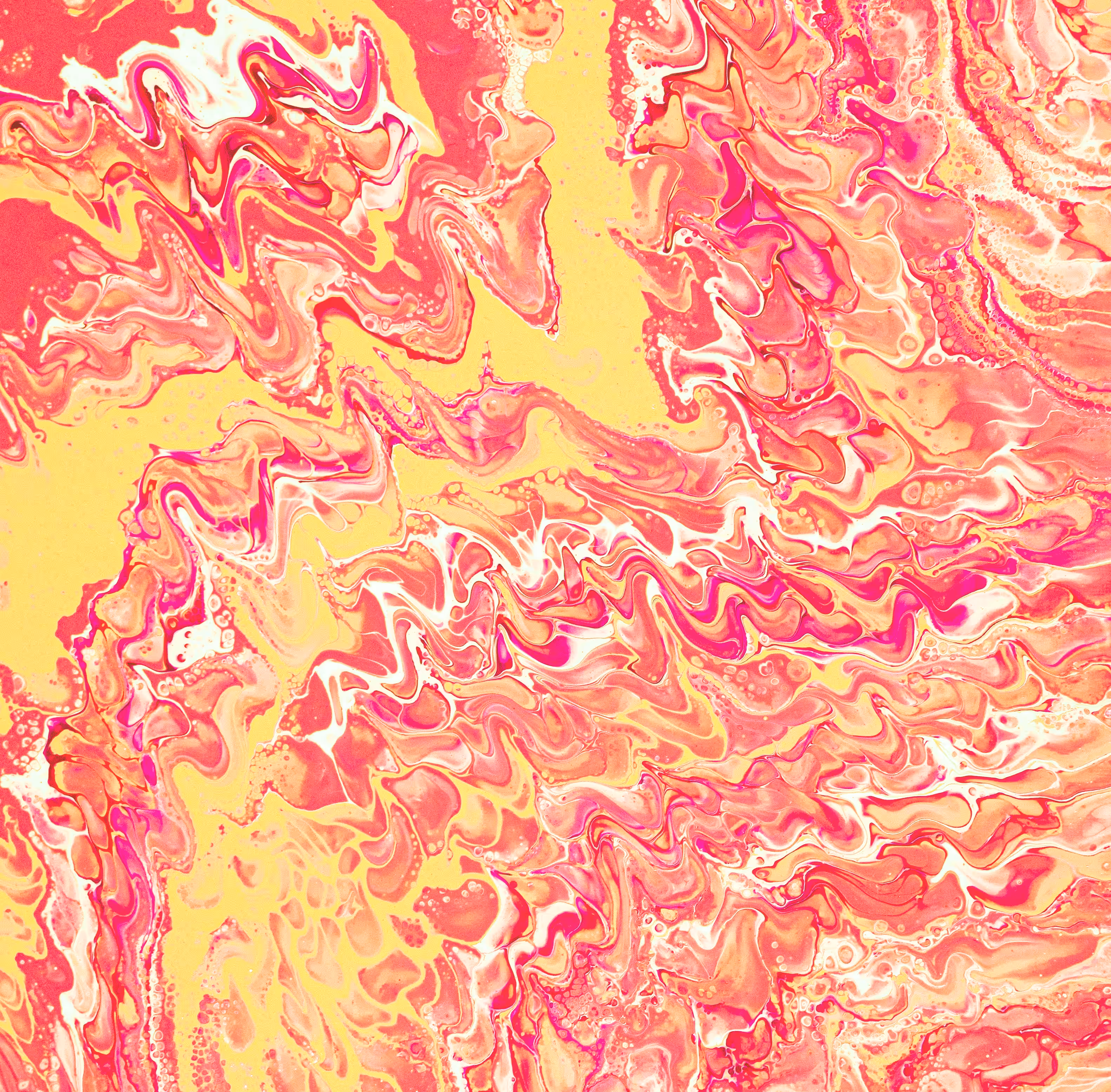 rhubarb and custard