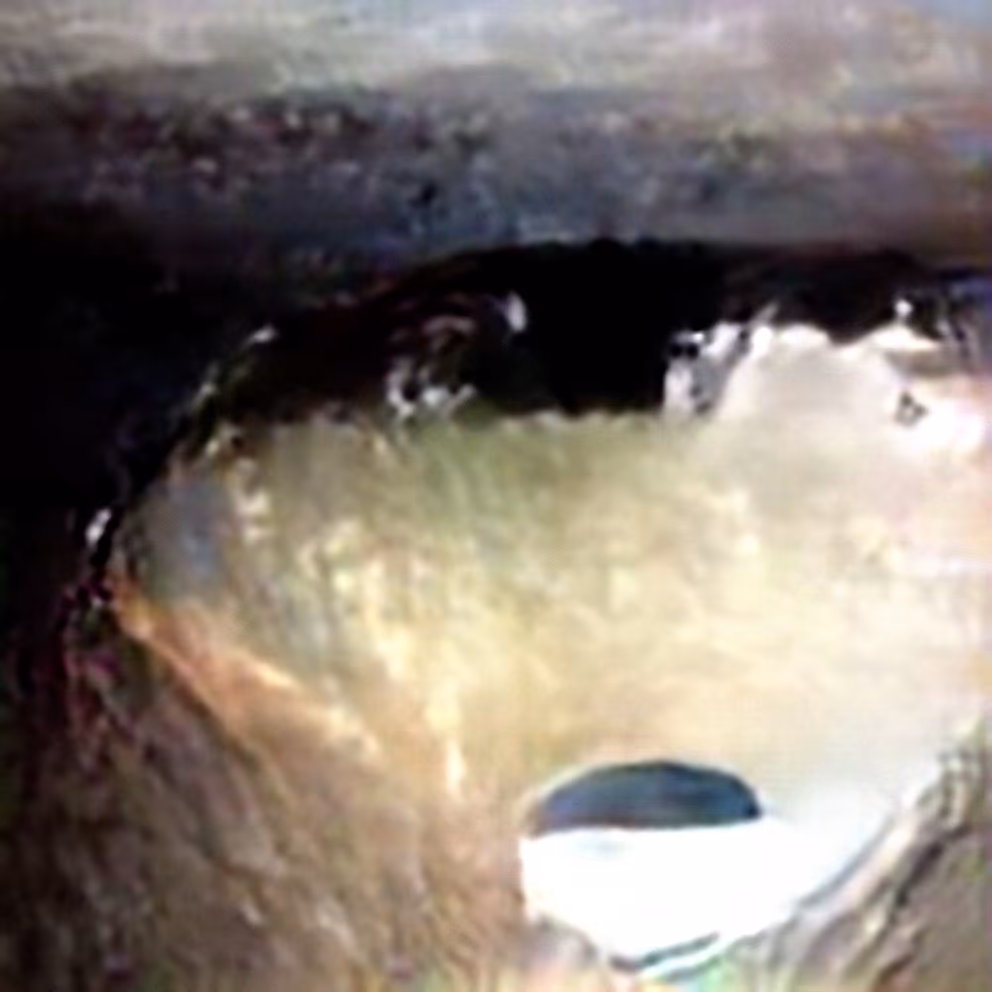 Evolved Hallucinations: Craters #2 (Corpus: The Aftermath of the First Smart War)