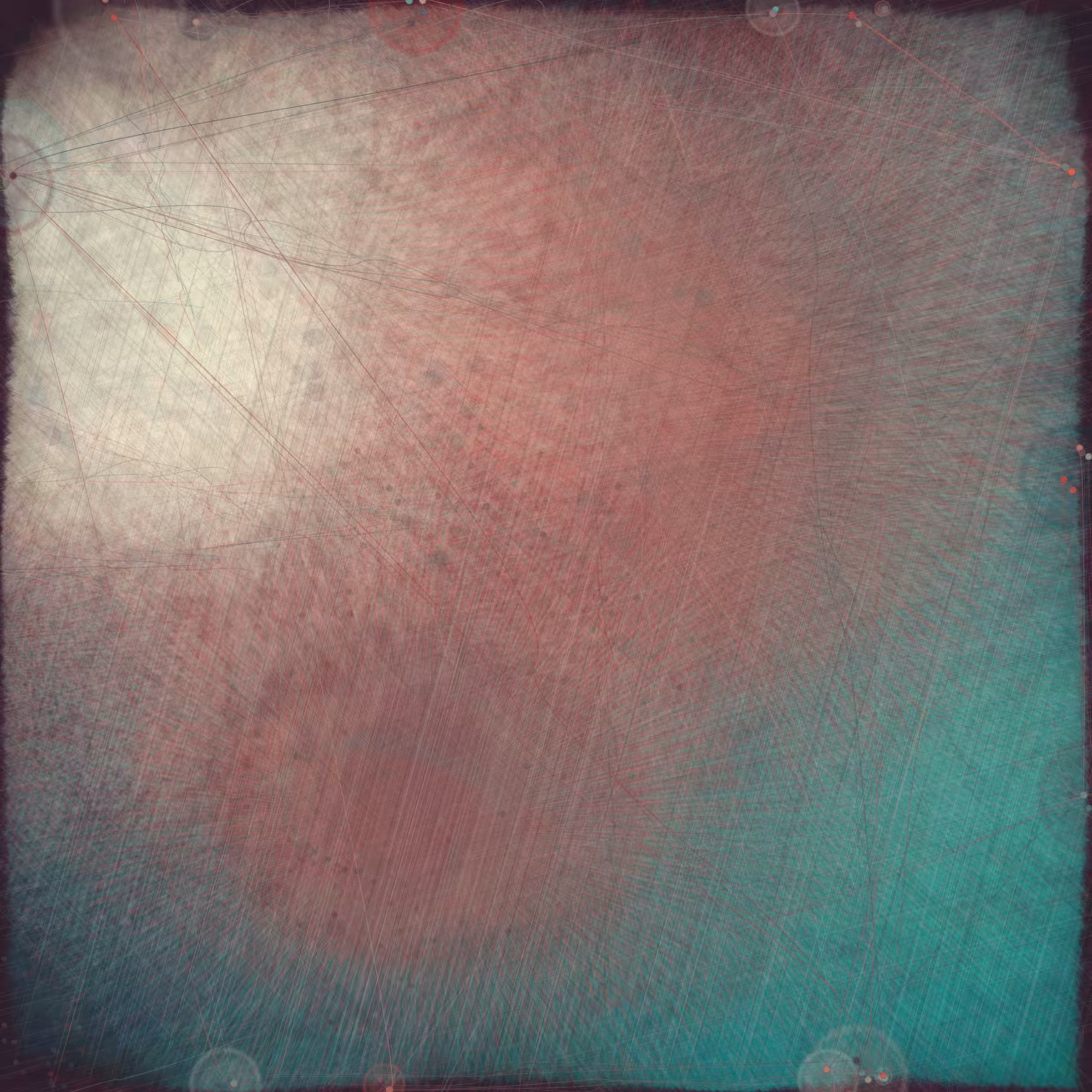 Reticulum