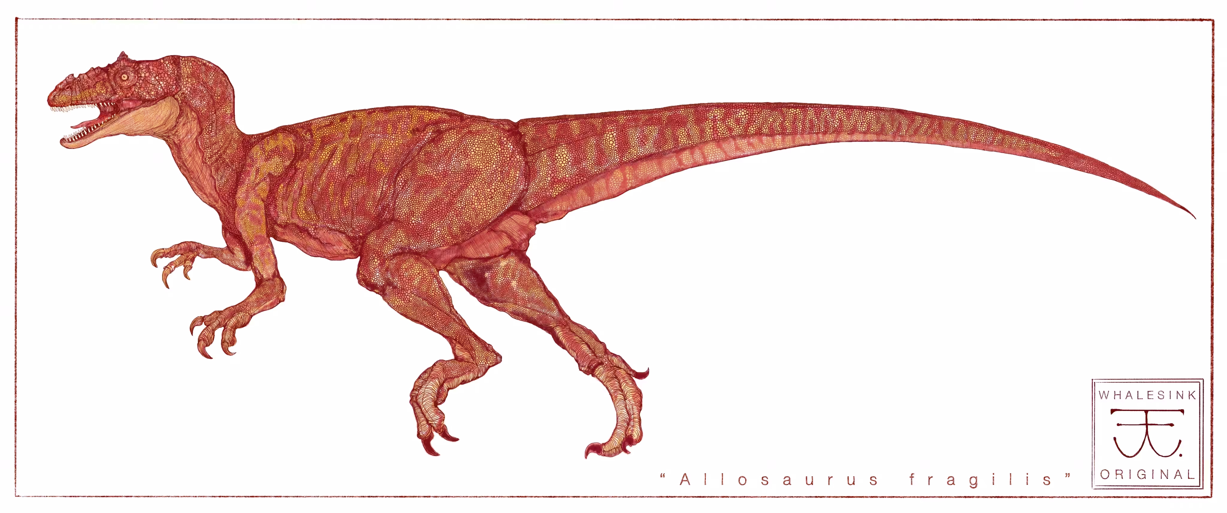 Allosaurus Reconstruction