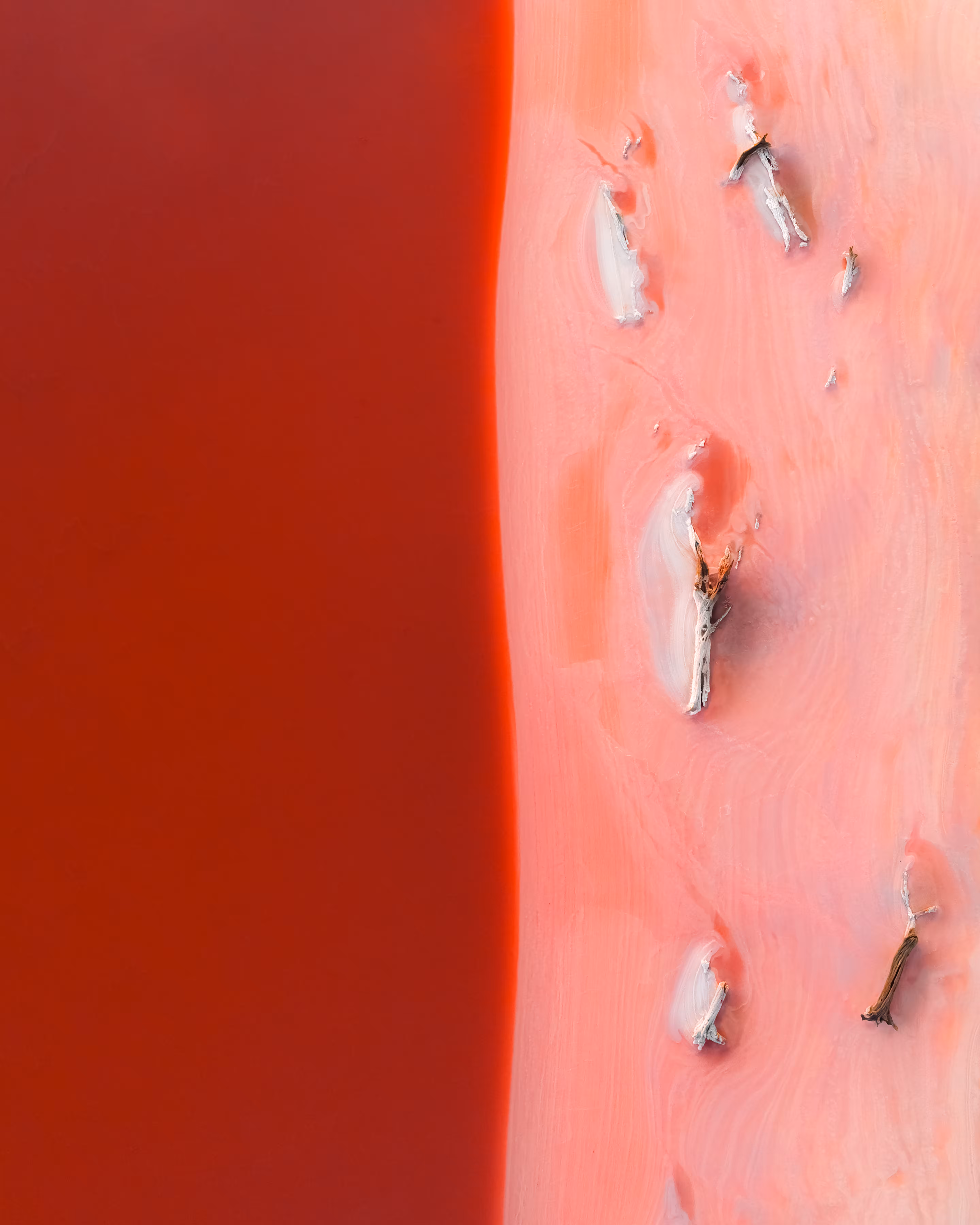Cherry Divide