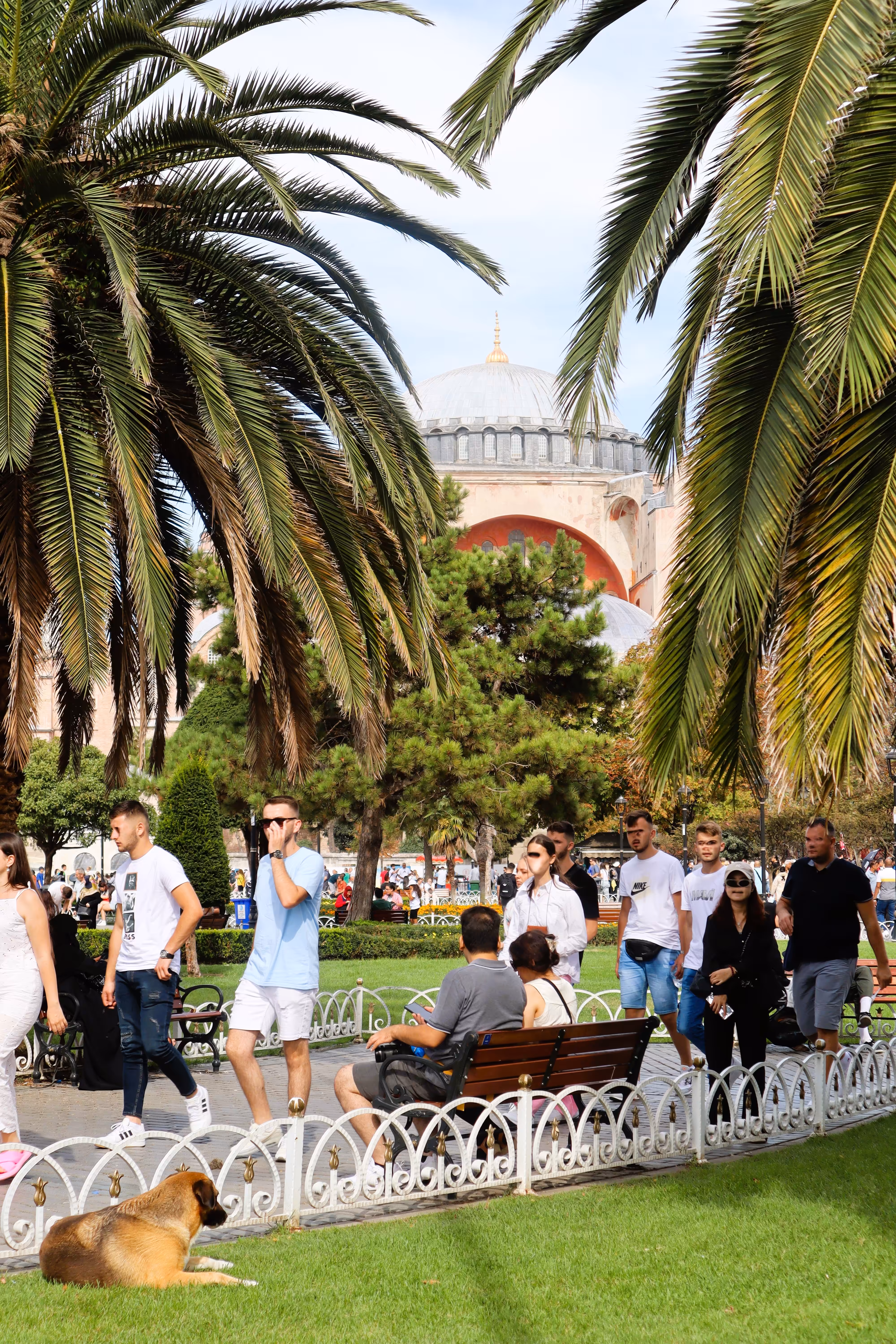 Streets of istanbul: Hagia Sophia