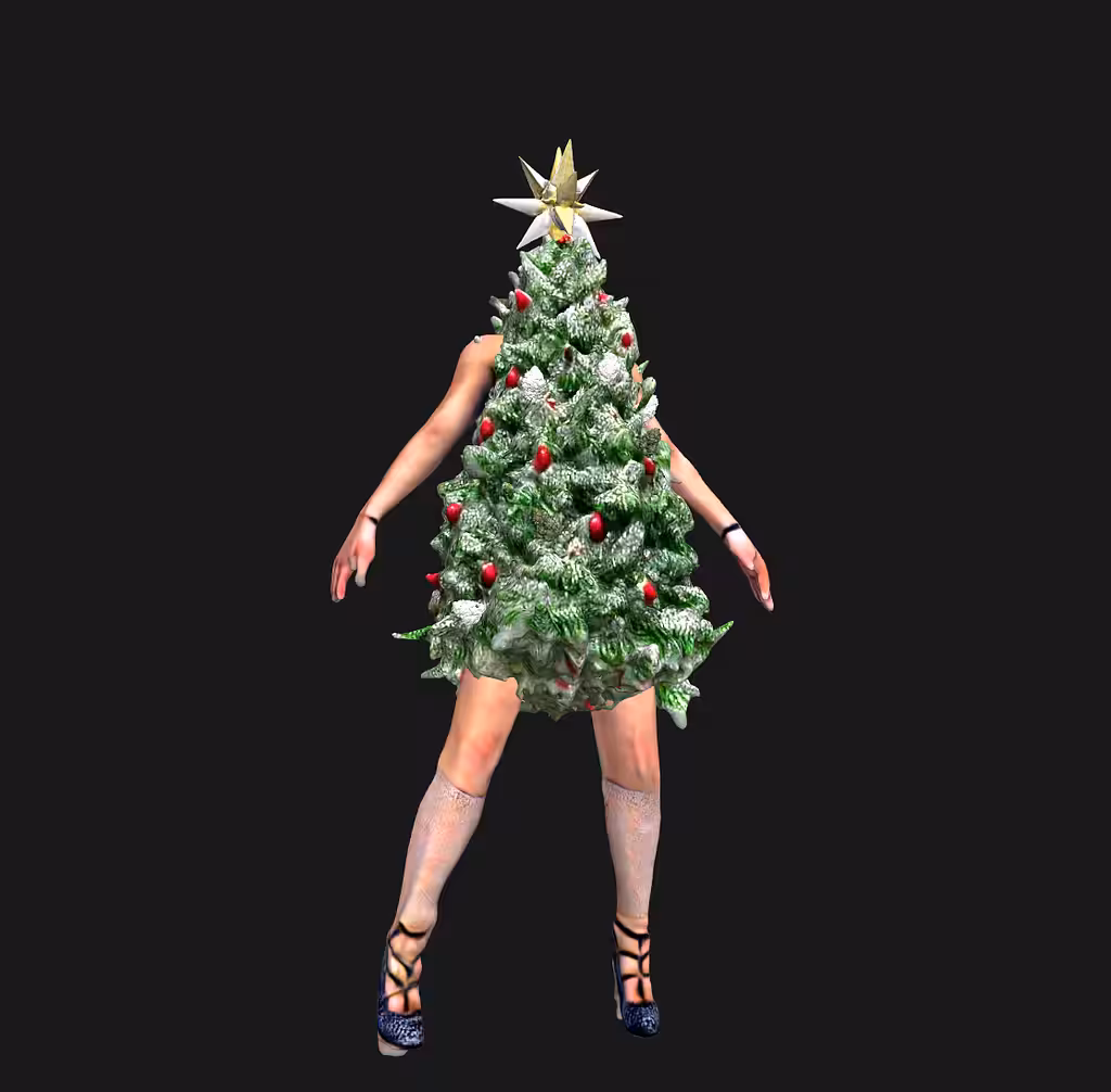 𝒯𝑒𝓏𝑜𝓈 𝒳'𝓂𝒶𝓈🤶🎄✨🌮