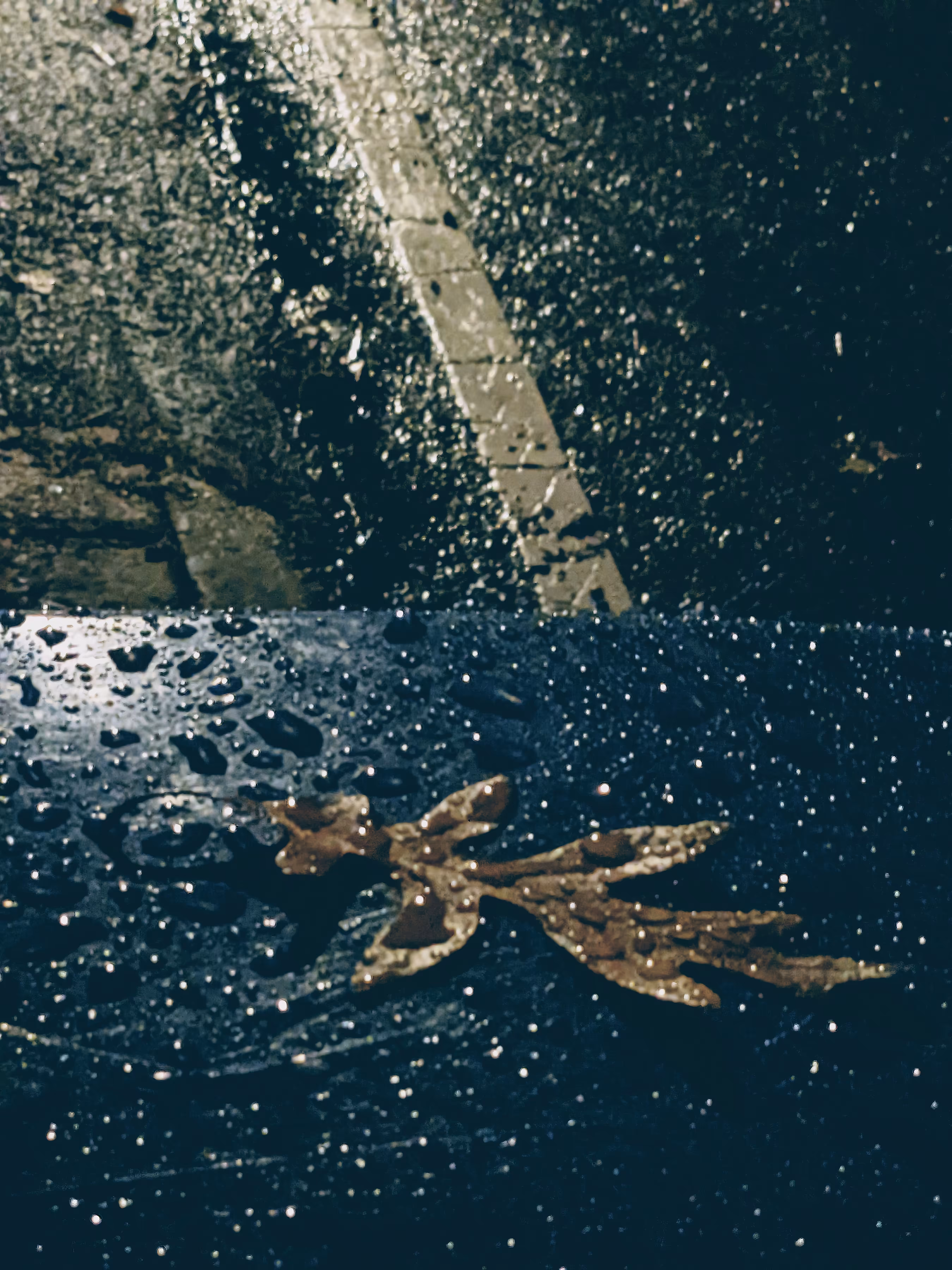 Fallen