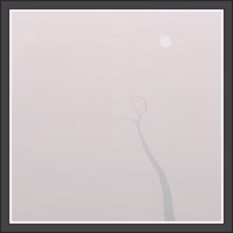 The Foggy Trees #9