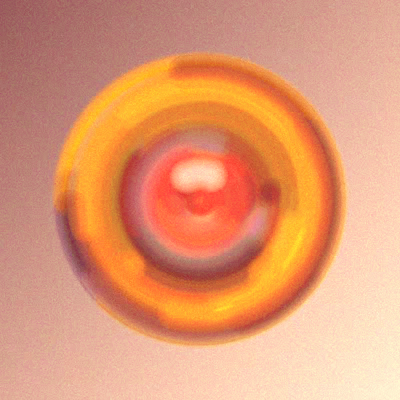 Wisp #223