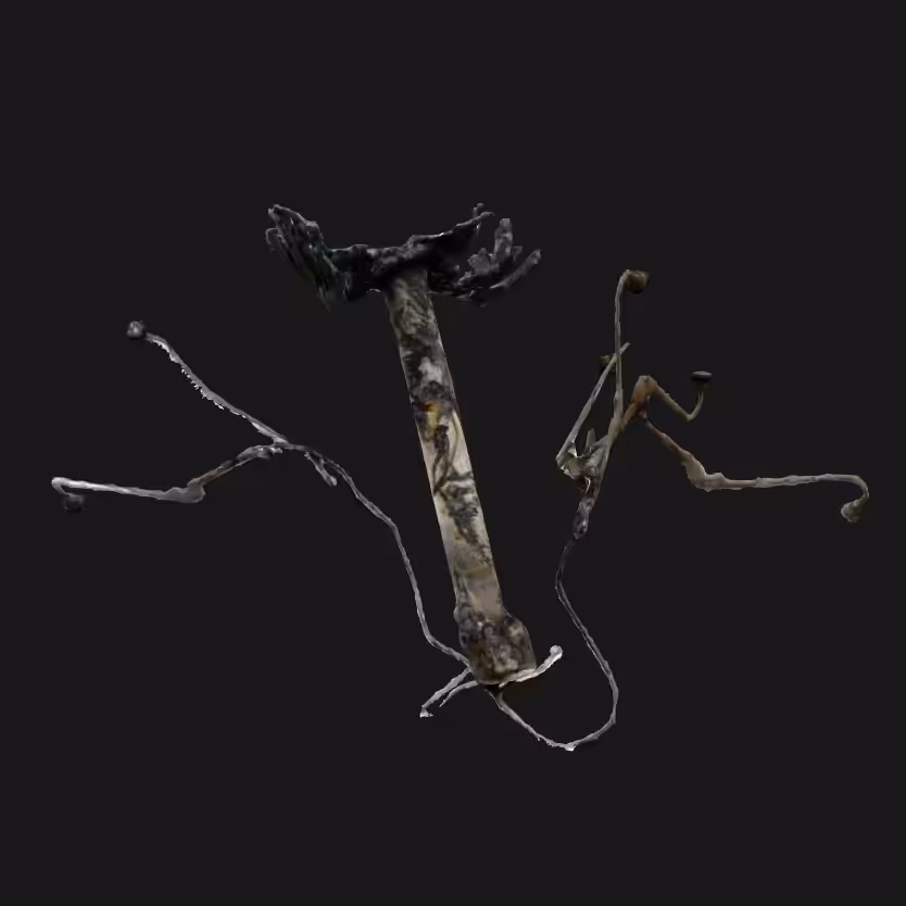 Sonji Tree