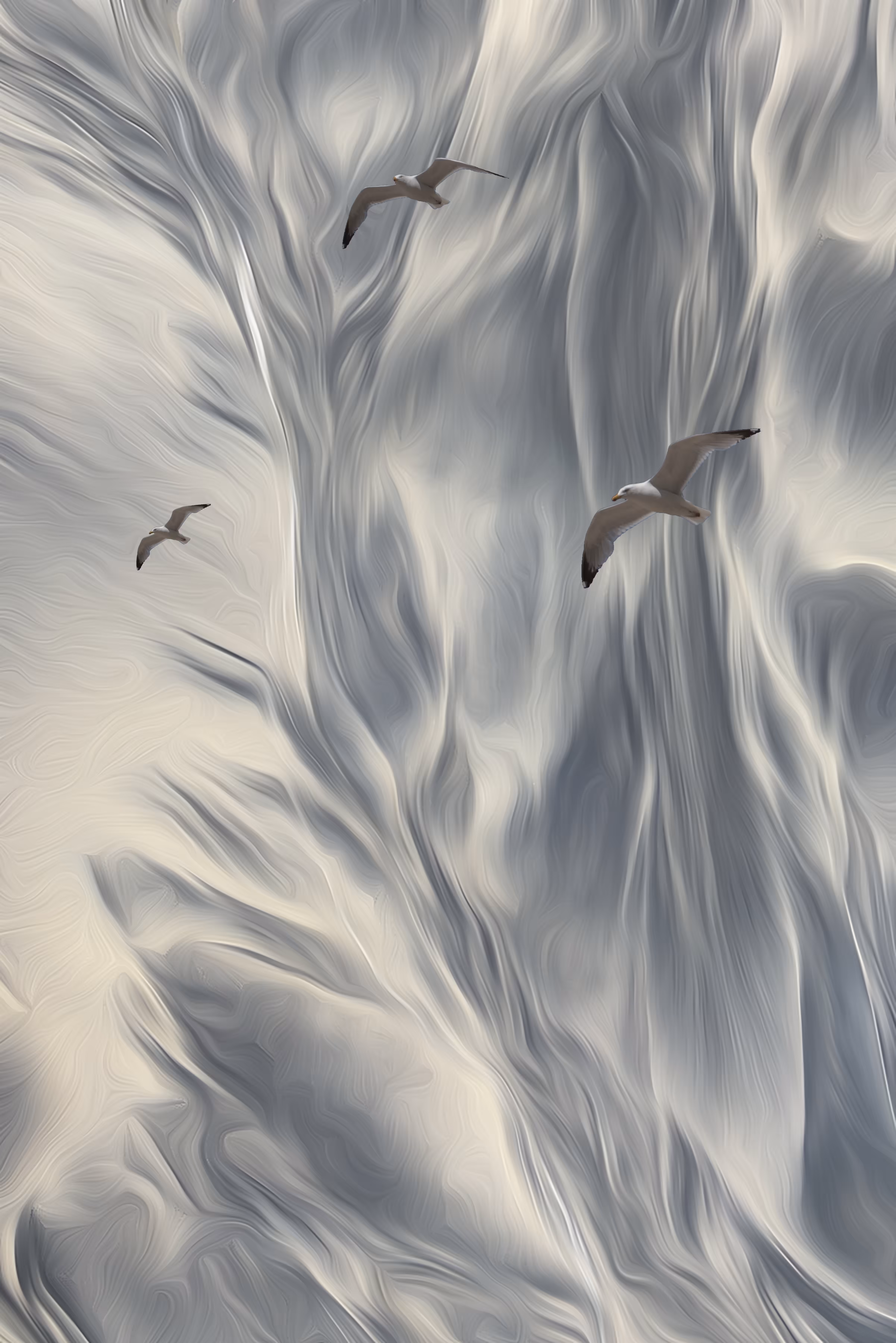 Floating Seagull I