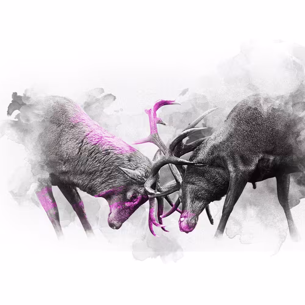 PINK SERIES - DEER
